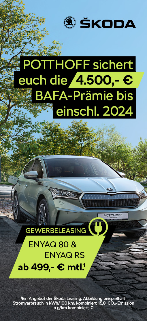 Enyaq Angebot