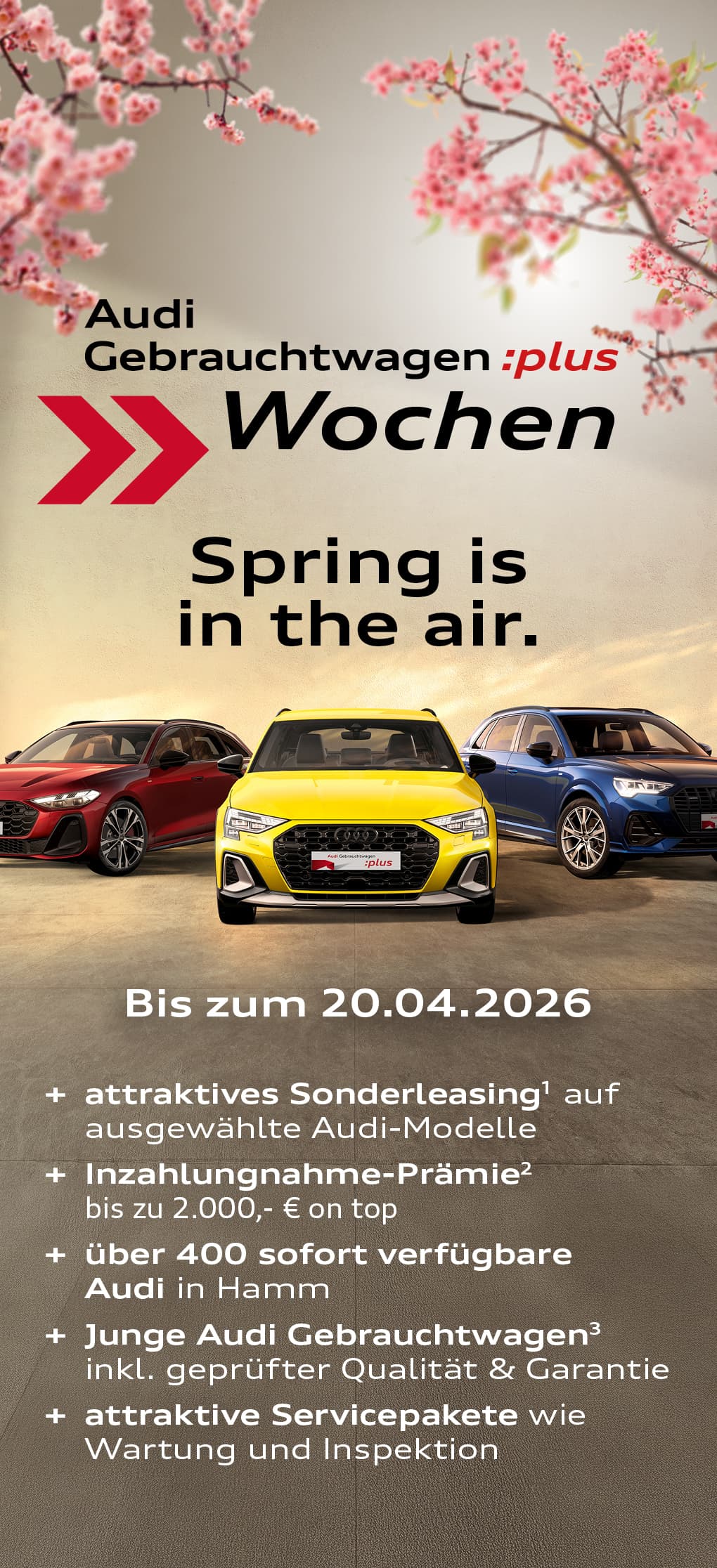 Audi Gebrauchtwagen Wochen Spring 2026