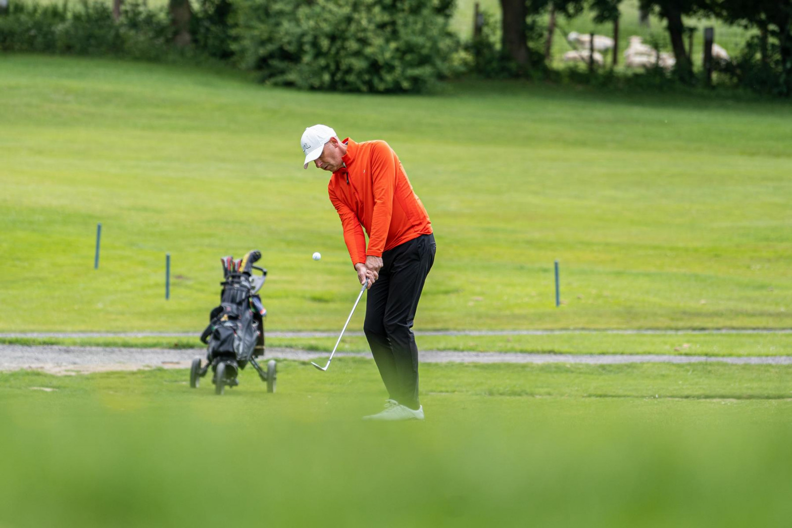 Audi quattro Cup 2022 by POTTHOFF:  Birgit Meyer und Kornelia Gauß fahren zum Deutschlandfinale.