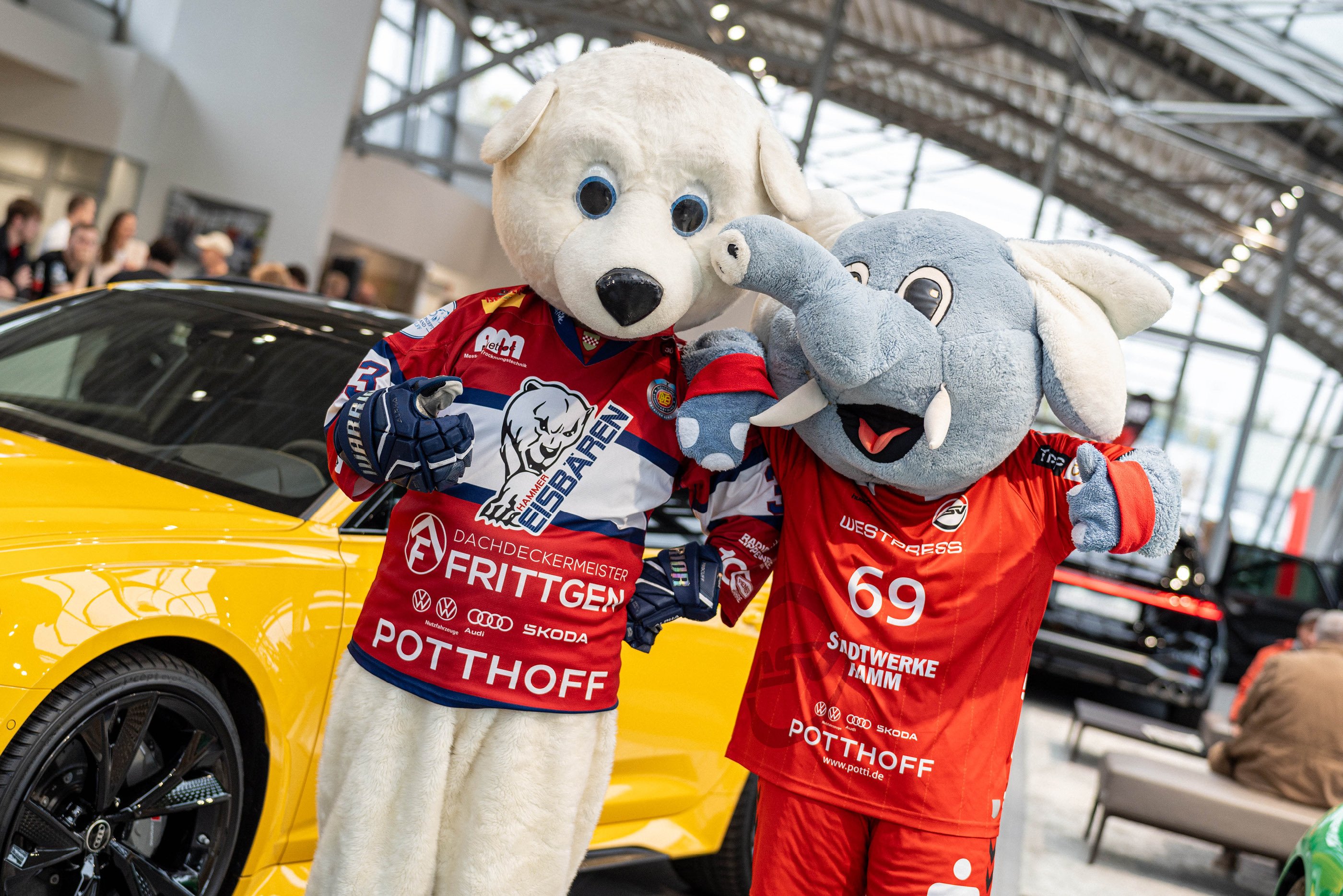 Hamm schaltet hoch auf 5! Die sportliche Premiere des neuen Audi A5 im Autohaus POTTHOFF.