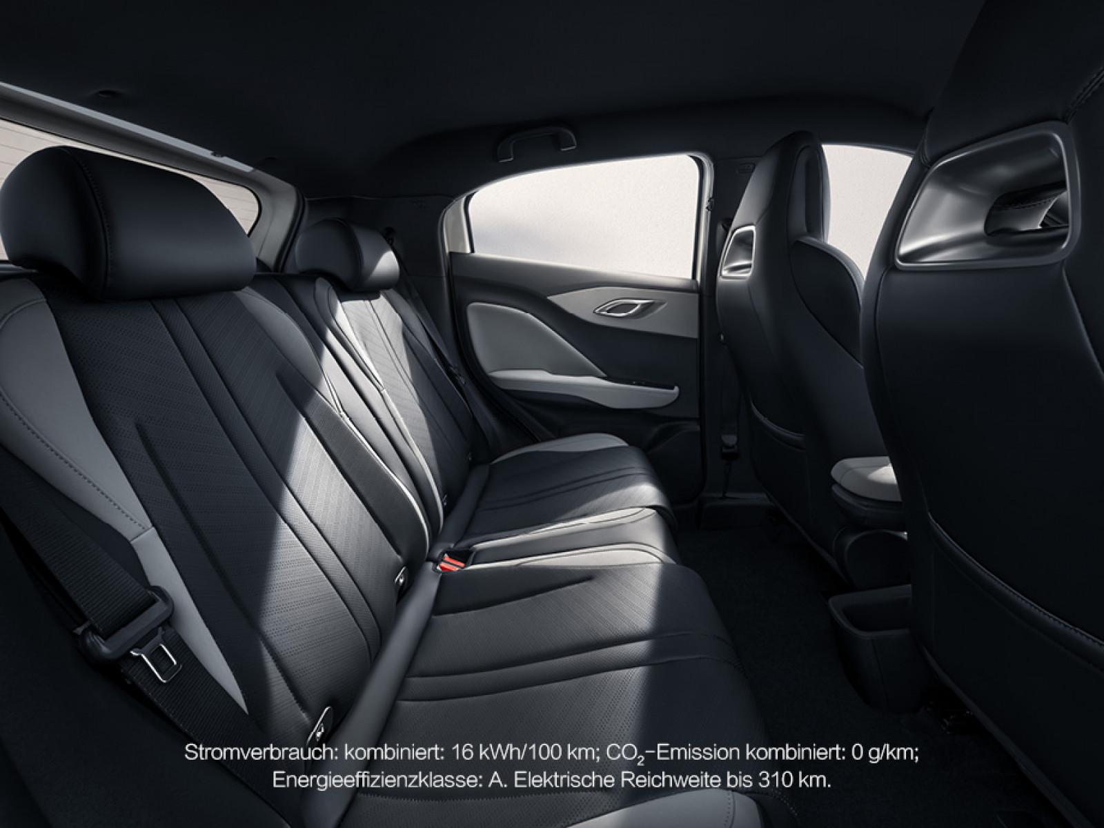 Illustration: Träume fahren elektrisch. Jetzt bei POTTHOFF mit dem neuen BYD DOLPHIN SURF.