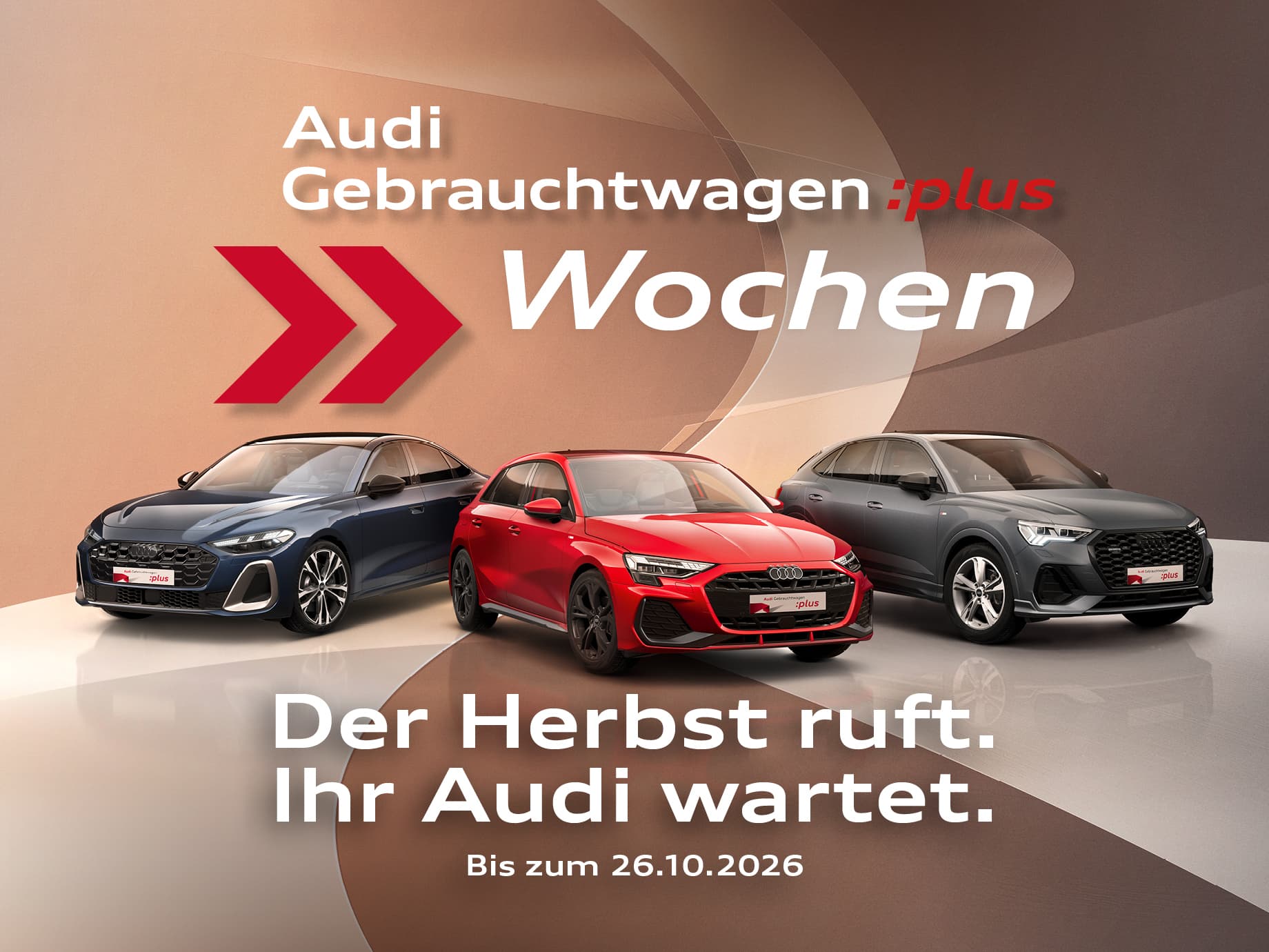 Audi Gebrauchtwagen :plus Wochen. Der Herbst ruft. Ihr Audi wartet.