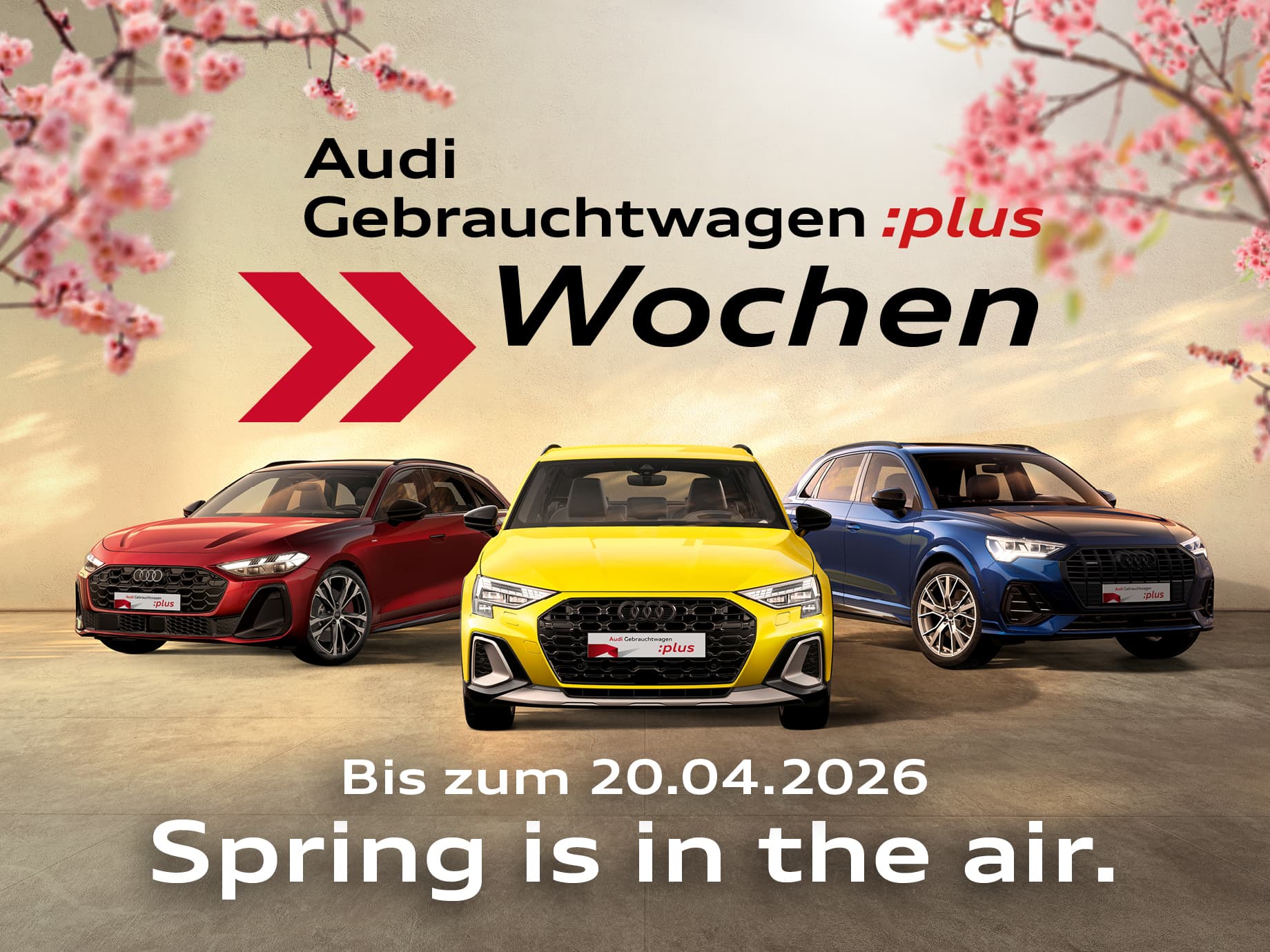 Illustration zur Abbildung des Angebotes: Das least sich. Die Audi Gebrauchtwagen: plus Woch...