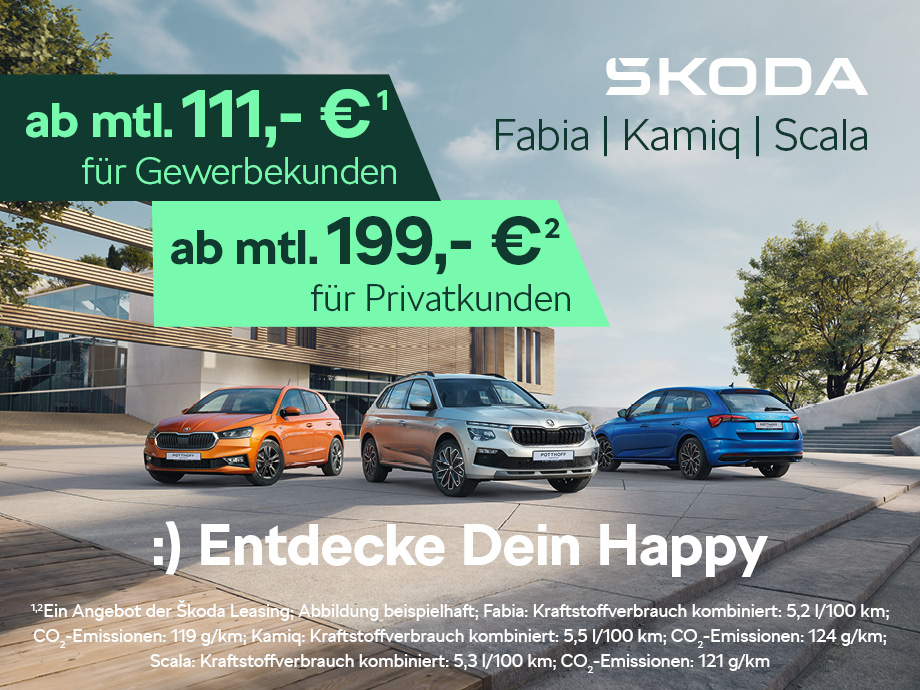 Die Škoda Drive Modelle für Privat- und Gewerbekunden – jetzt günstig leasen ab 111,- € mtl.¹