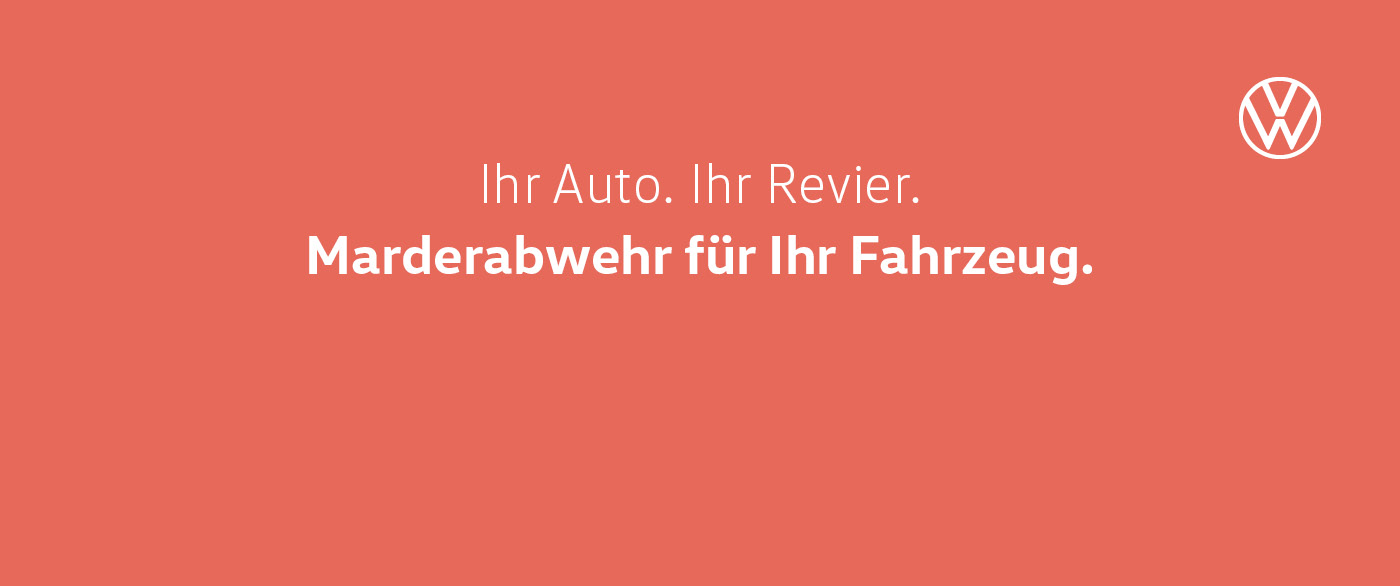 Vermeiden Sie unerwünschte Marderbesuche und sorgen Sie mit effektiver Marderabwehr vor. Bei uns für nur 299,- € inkl. Einbau!