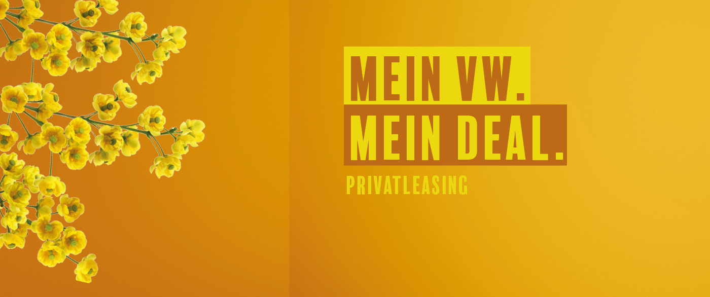 Herobild: T-Roc R-Line und Tiguan R-Line im Privatleasing bei POTTHOFF