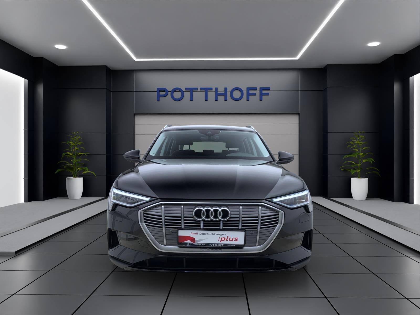 Audi e-tron 50 q. ACC LED Kamera