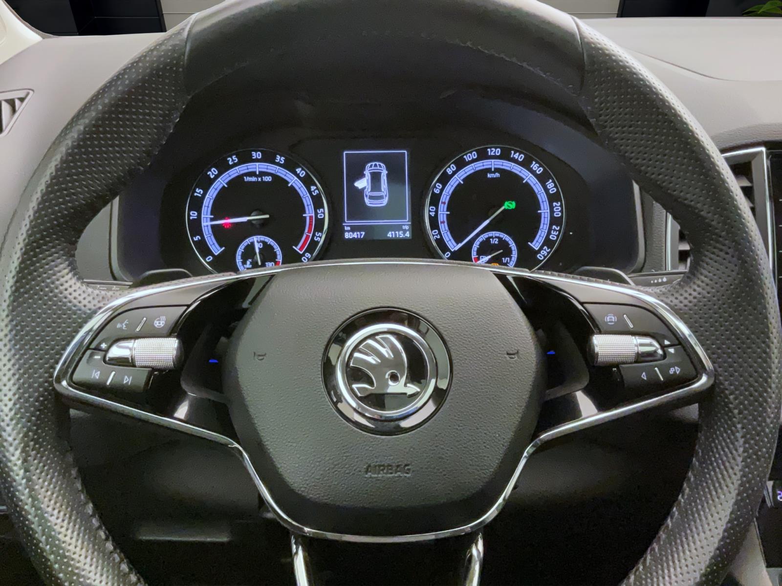 Skoda Karoq 2.0 TDI DSG Ambition Pano LED Sitzhzg