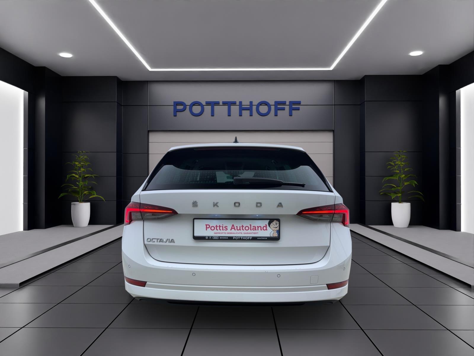 Skoda Octavia Combi 2.0 TDI First Edition Navi LED ACC Sitzhzg