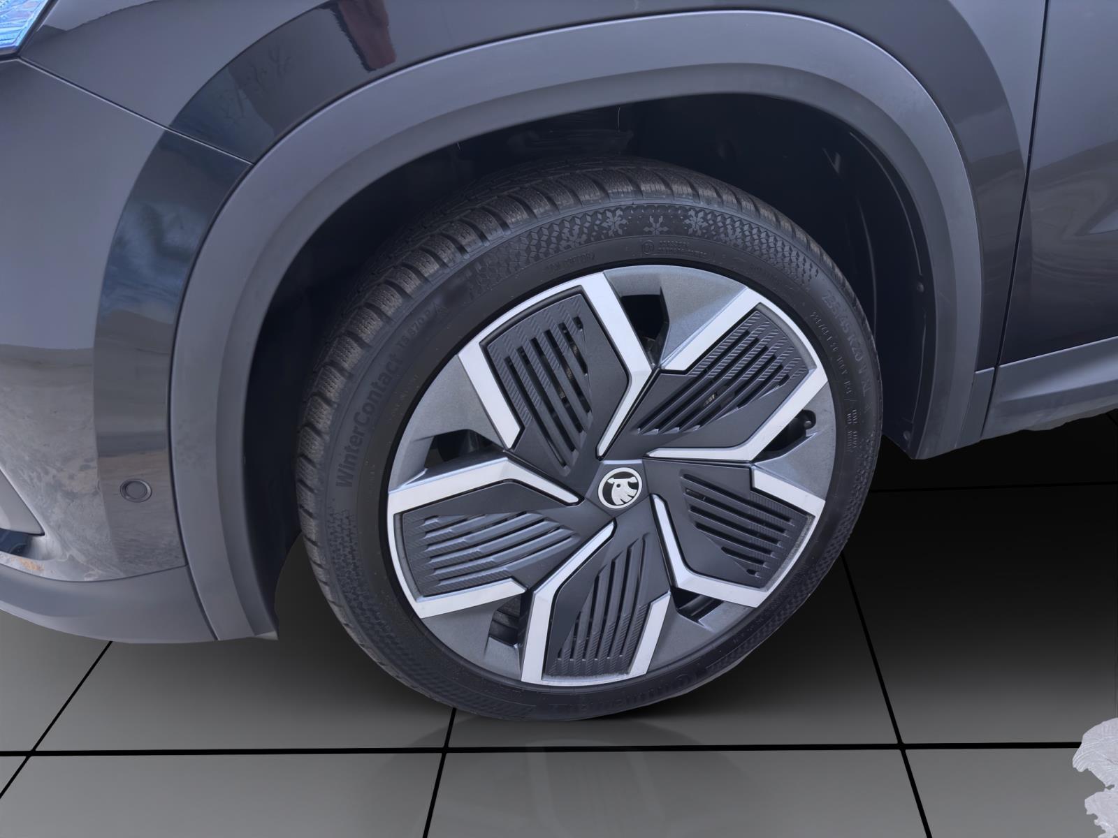 Skoda Kodiaq 2.0 TDI DSG 4x4 SELECTION STANDHZG PANK AHK 360°