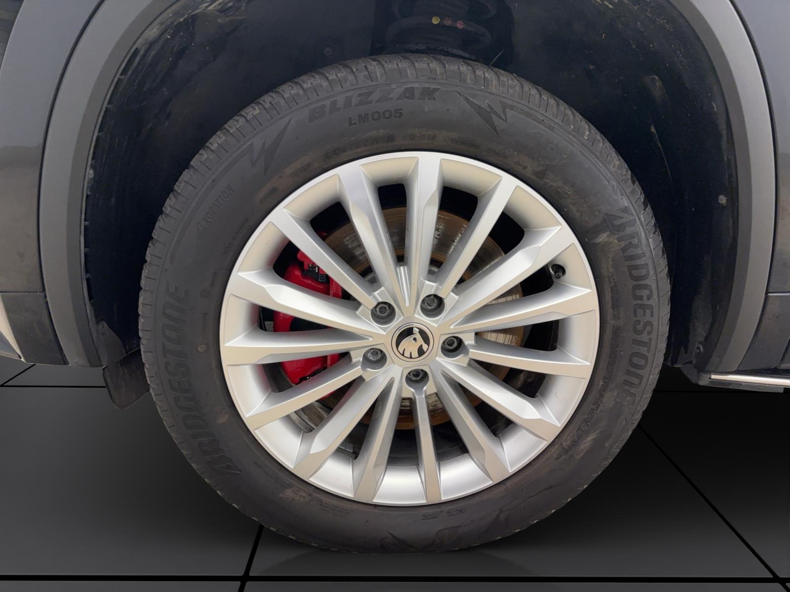 Skoda Kodiaq 2.0 TDI DSG RS 4x4 Standhzg Pano AHK Navi Canton