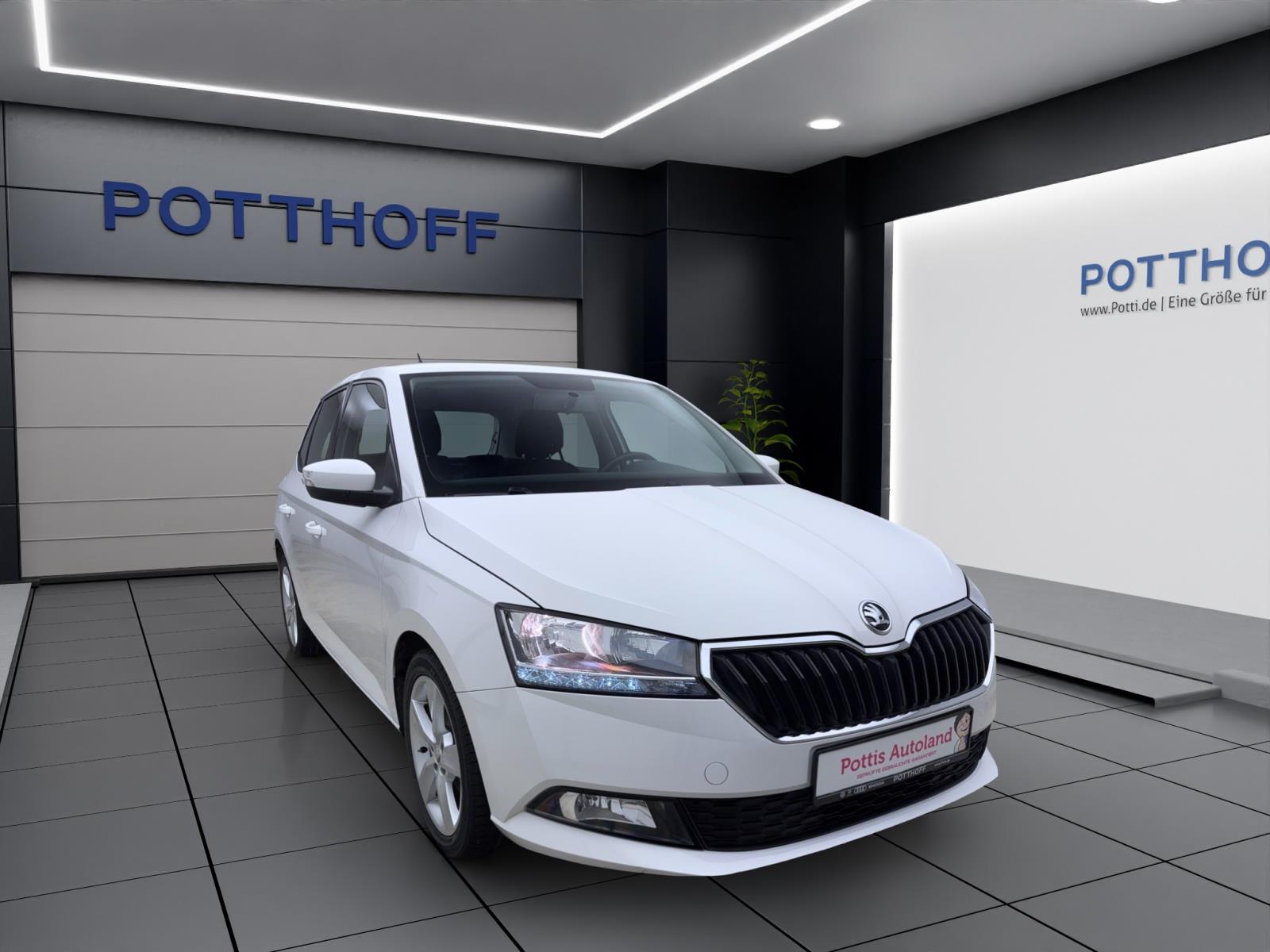 Skoda Fabia 1.0 TSI COOL PLUS PDC WINTER KLIMA