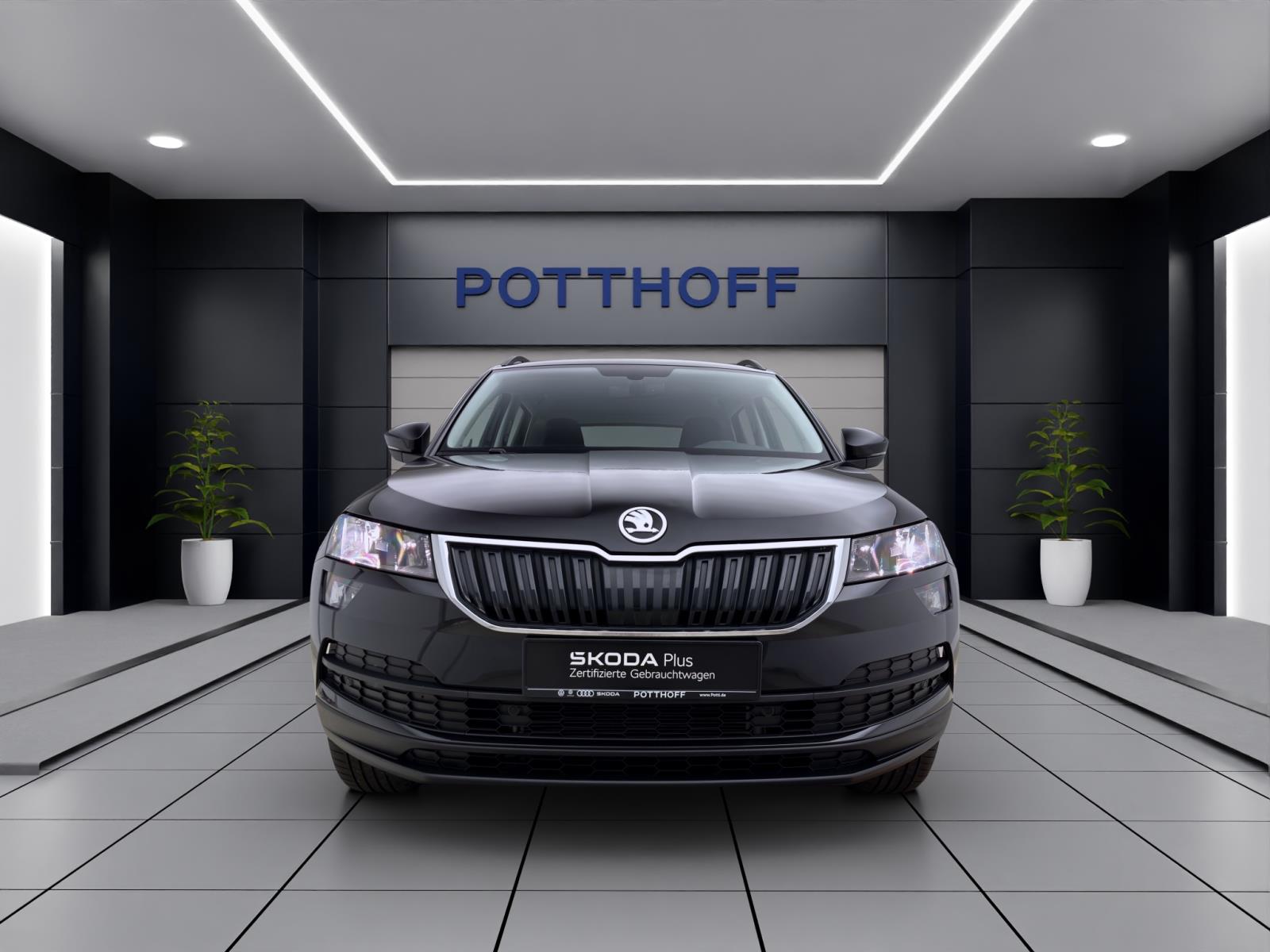 Skoda Karoq 2.0 TDI DSG 4x4 STYLE STANDHZG KAMERA PDC