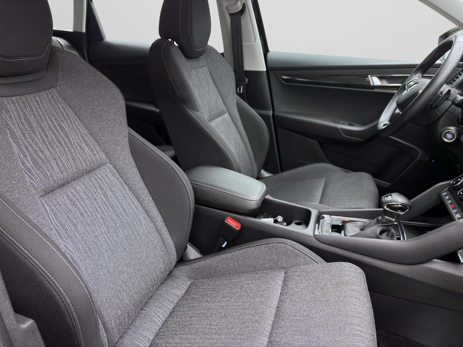 Skoda Karoq 2.0 TDI DSG 4x4 STYLE STANDHZG KAMERA PDC