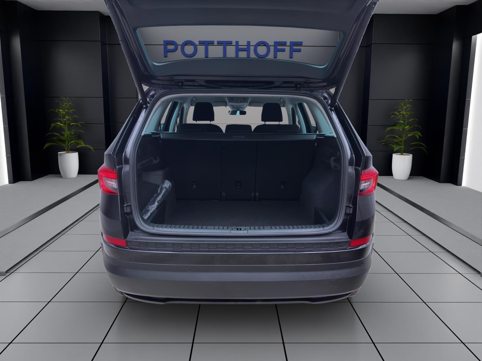 Skoda Kodiaq 2.0 TDI DSG DRIVE 125 STANDHZG AHK NAVI ACC