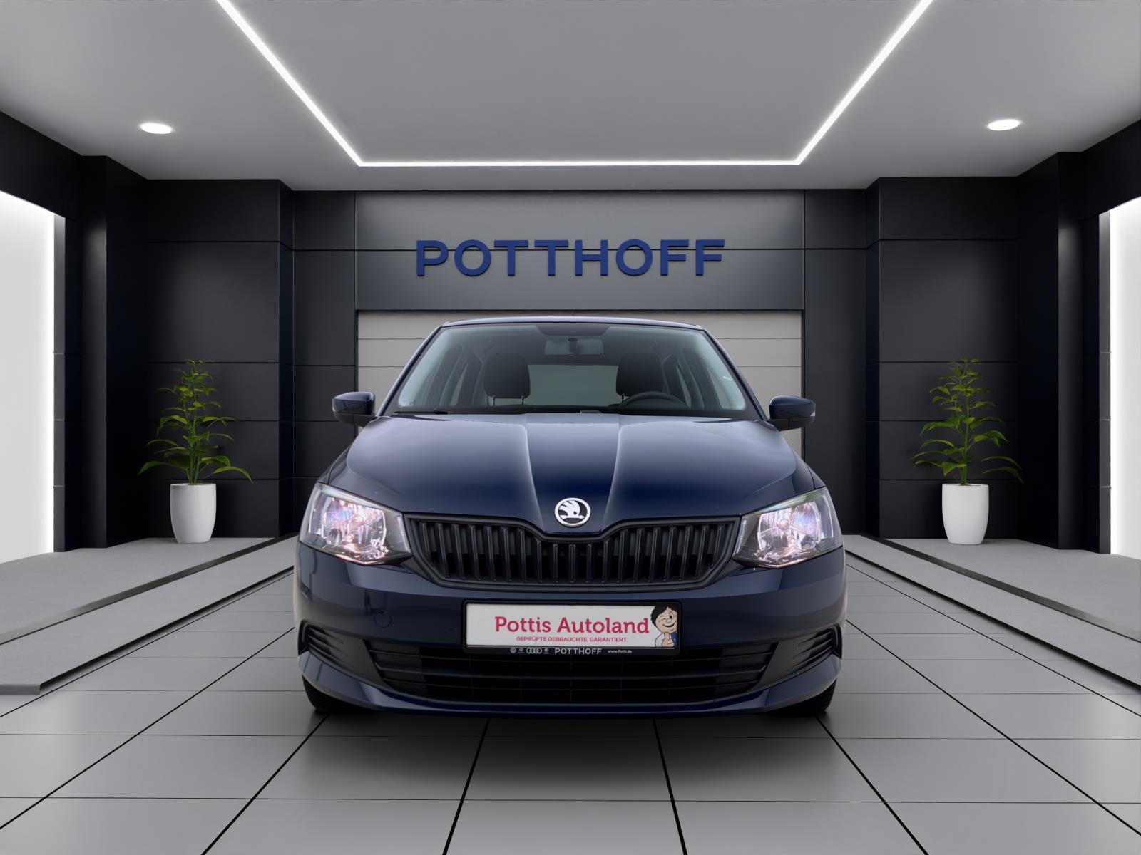 Skoda Fabia 1.0 MPI Cool Edition PDC DAB+ Sitzhzg Climatic