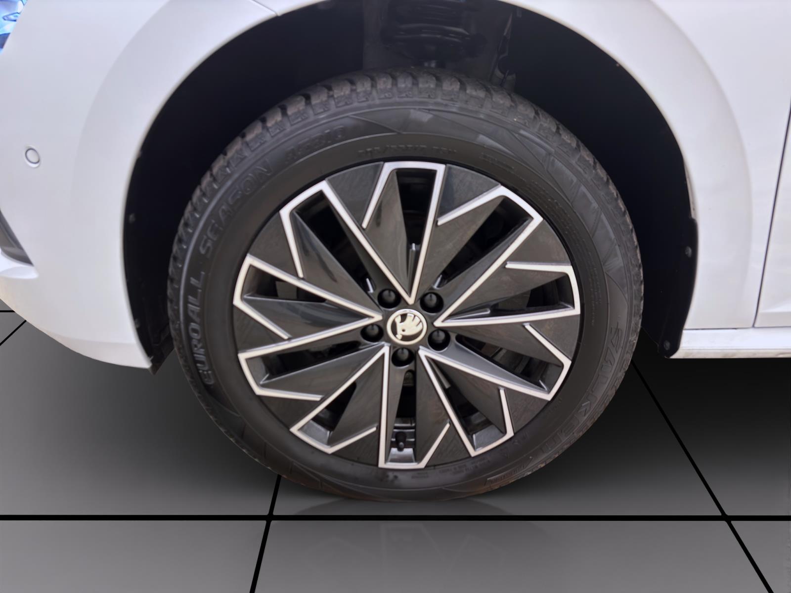 Skoda Kamiq 1.0 TSI DSG SELECTION AHK KAMERA KLIMA