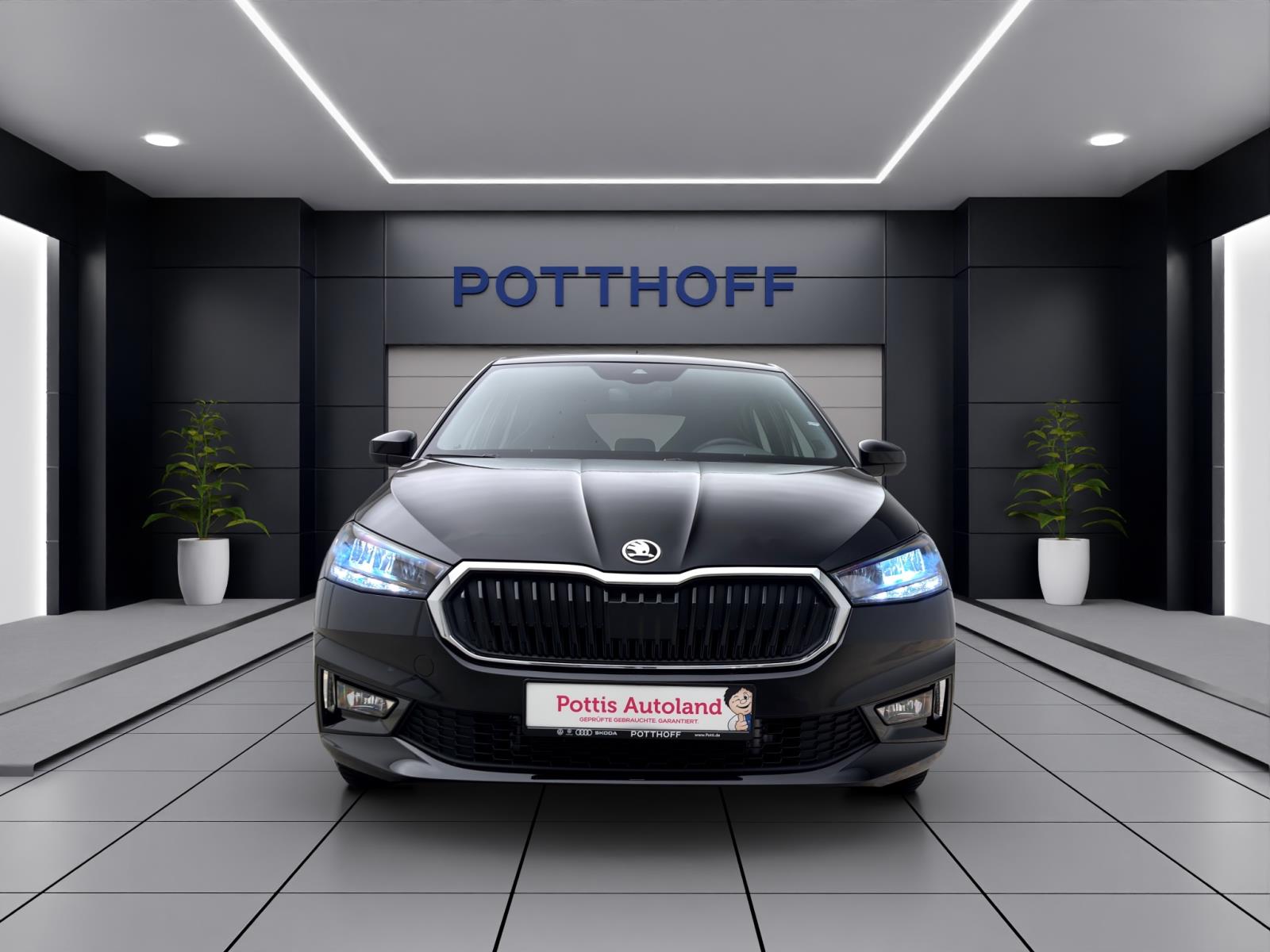 Skoda Fabia 1.0 TSI SELECTION PDC LED SITZHZG KLIMA