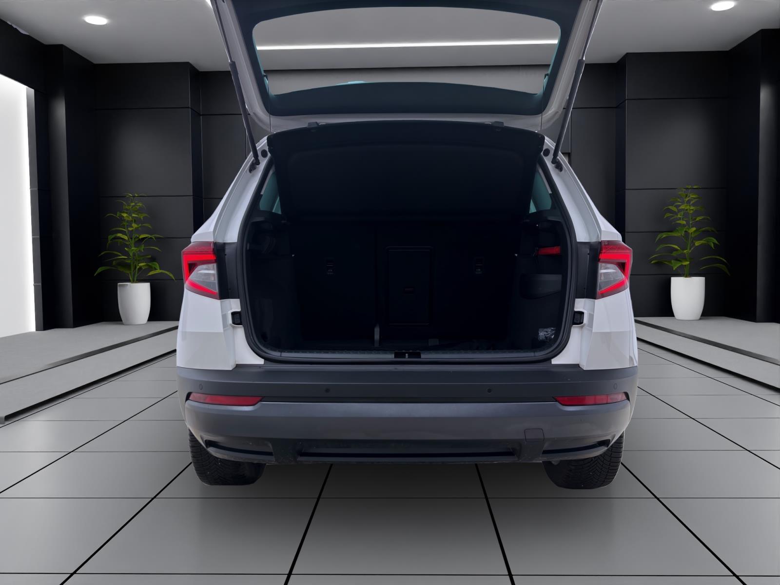 Skoda Karoq 2.0 TDI DSG 4x4 AMBITION NAVI STDHZG PDC SITZHZG