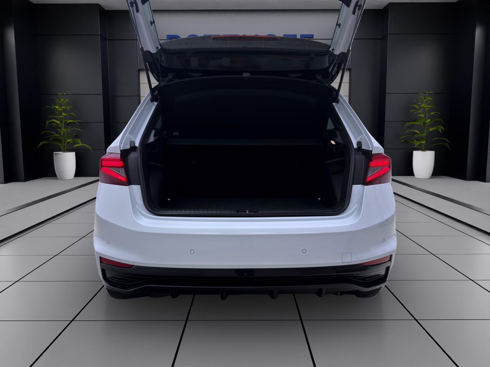 Skoda Fabia 1.0 TSI MONTE CARLO NAVI LED ACC SITZHZG