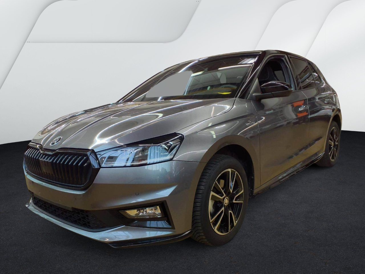 Skoda Fabia 1.0 TSI MONTE CARLO NAVI LED ACC SITZHZG