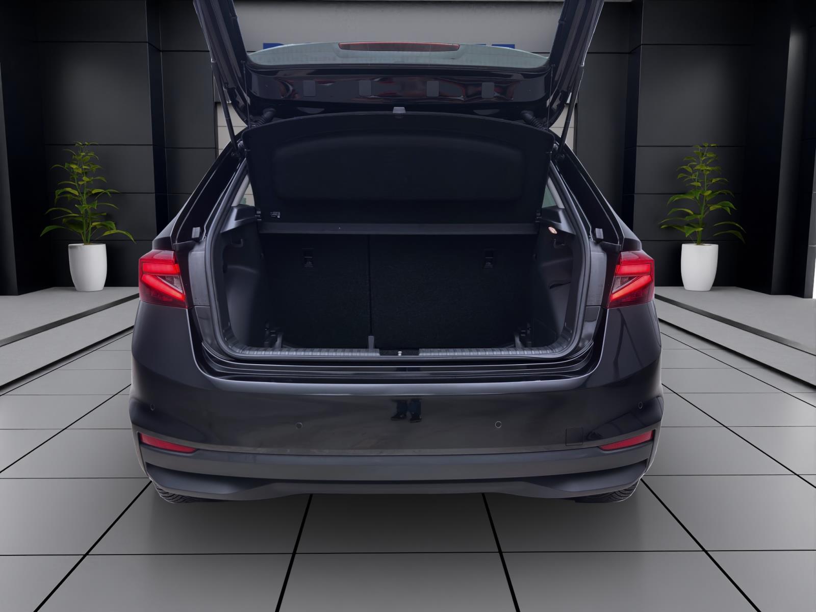 Skoda Fabia 1.0 TSI DSG SELECTION PANO NAVI SITZHZG ACC