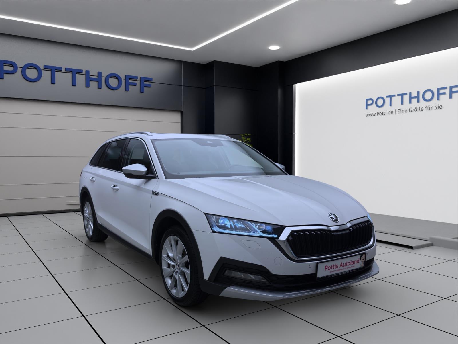 Bild 5: Skoda Octavia Combi 2.0 TDI DSG 4x4 SCOUT STANDHZG MATRIX AHK
