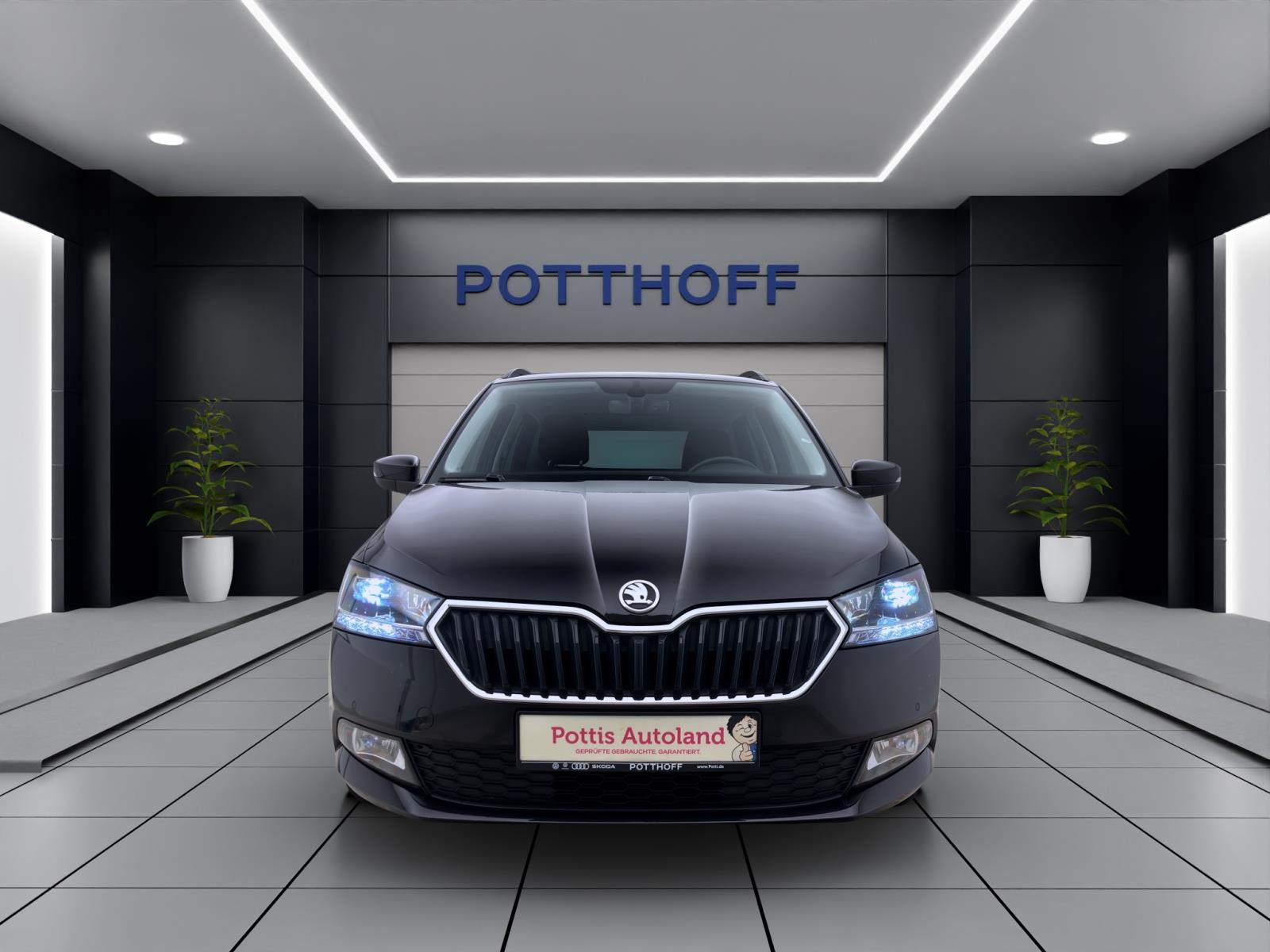 Skoda Fabia Combi 1.0 TSI CLEVER NAVI PDC SITZHZG KLIMA