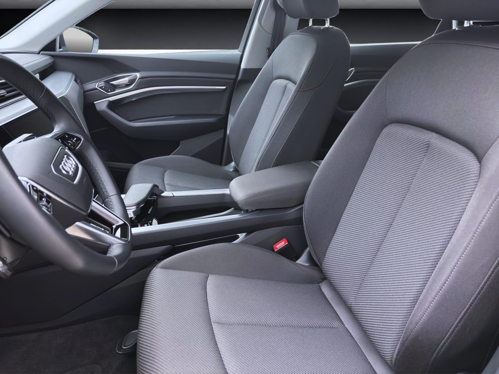 Bild 8: Audi Q8 e-tron 50 Q S LINE MATRIX NAVI eKLAPPE LM20