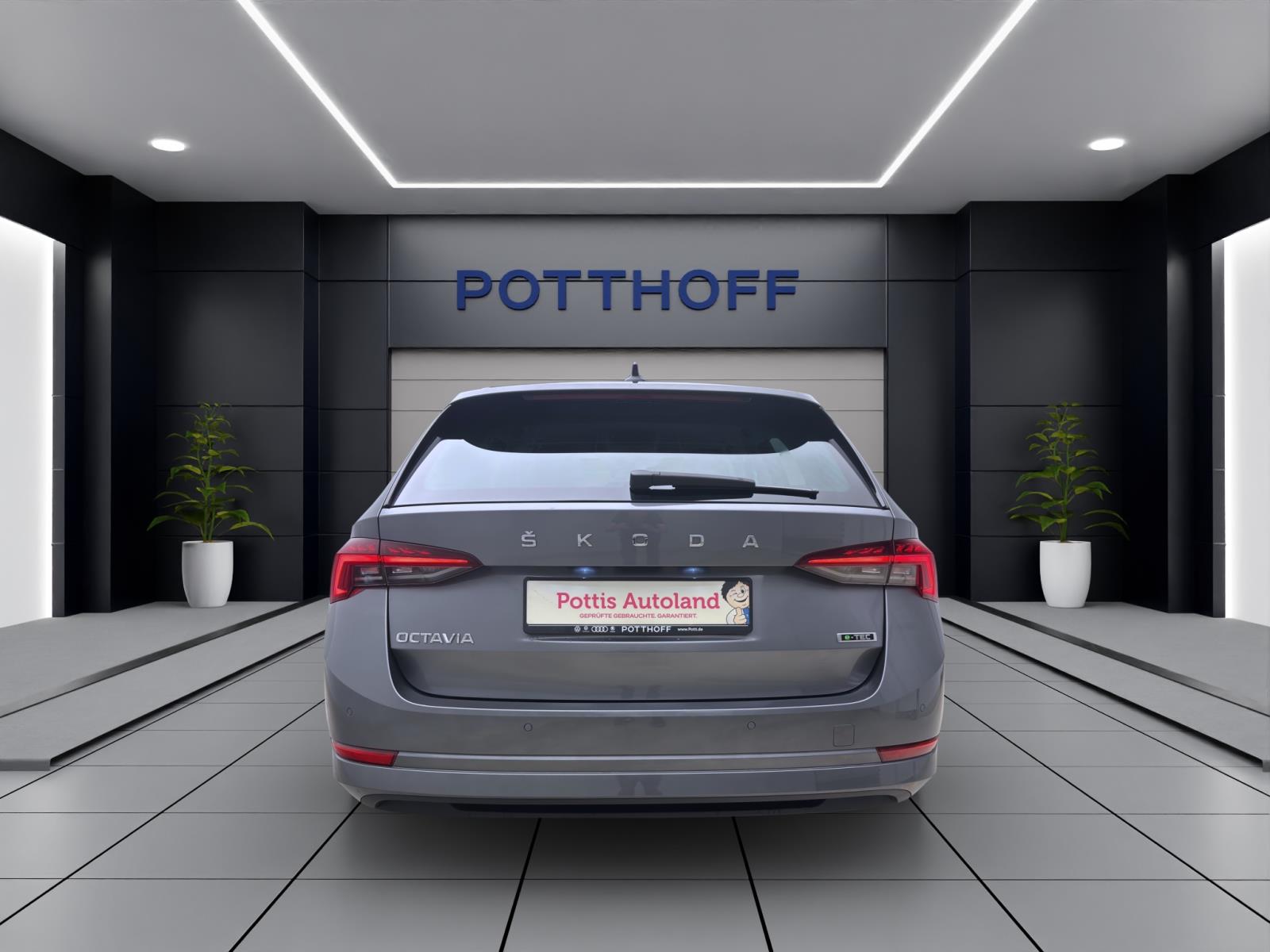 Bild 2: Skoda Octavia Combi 1.5 eTSI DSG STYLE STDHZG LEDER NAVI