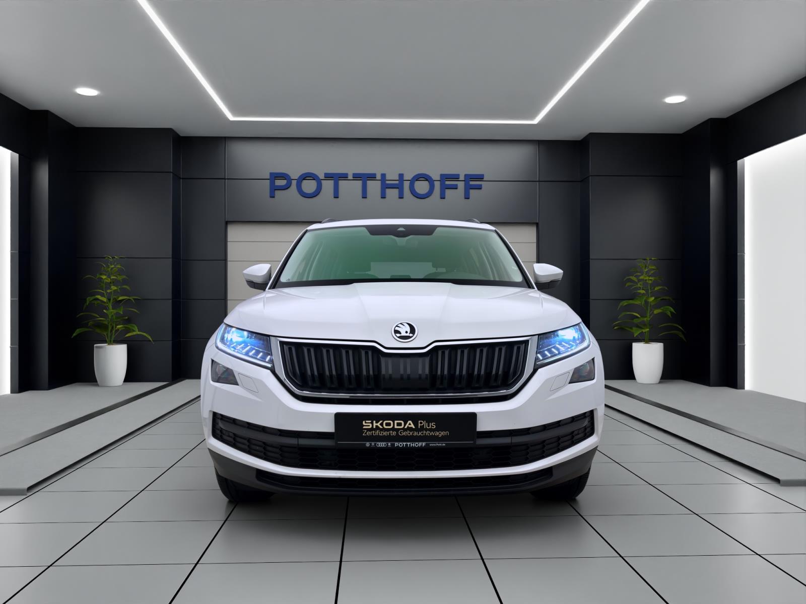 Bild 6: Skoda Kodiaq 2.0 TDI DSG 4x4 CLEVER NAVI KLIMA PDC LM19