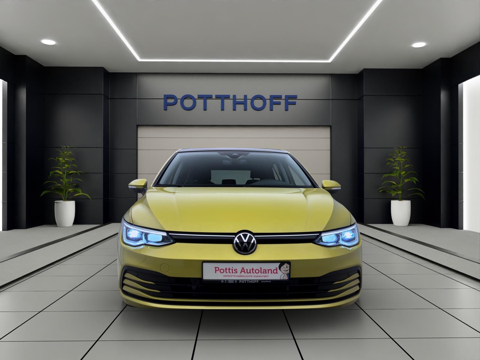 Bild 6: Volkswagen Golf 1.5 TSI LIFE PANO IQ.LIGHT KAMERA PDC