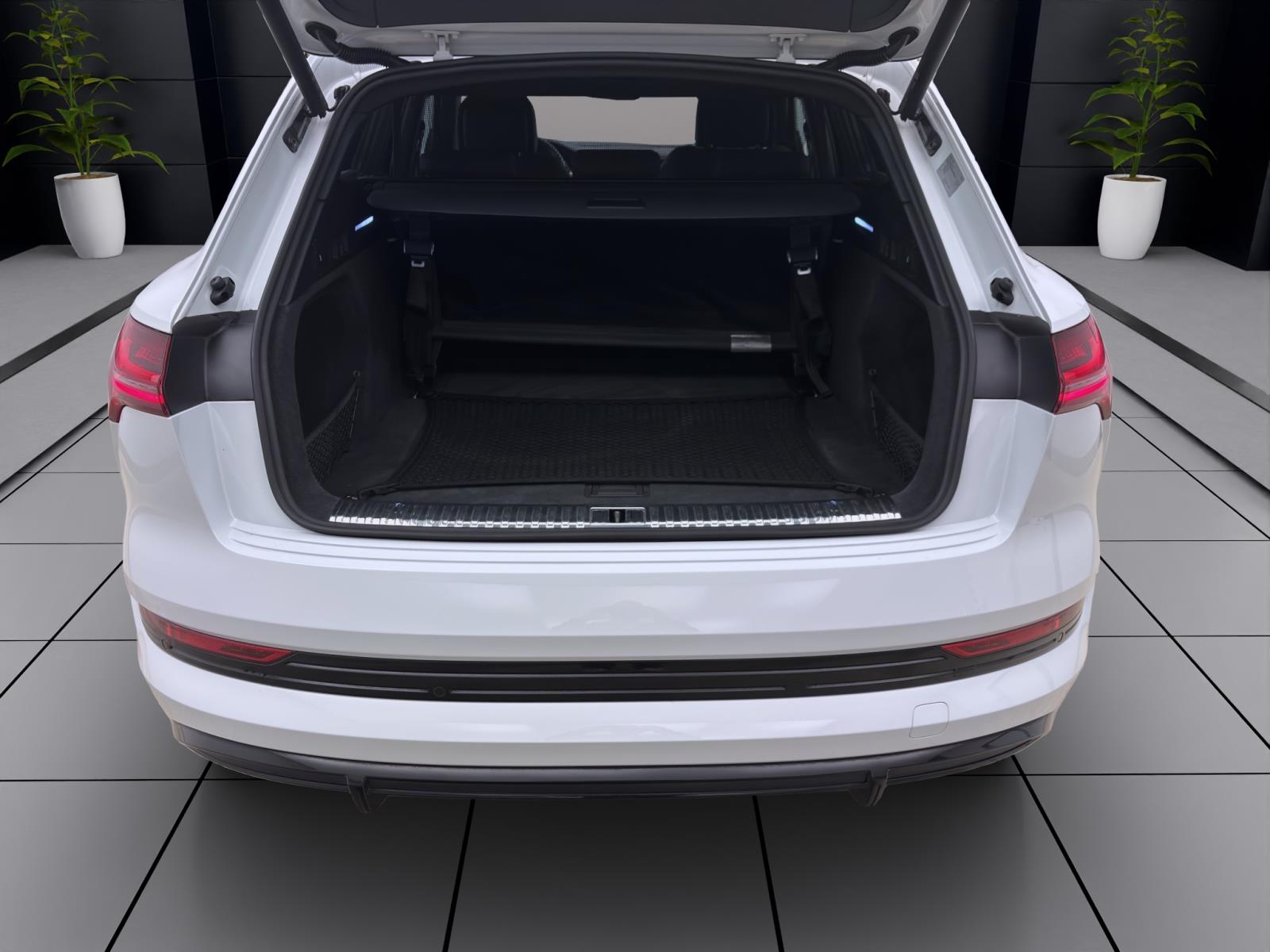 Bild 3: Audi e-tron 55 Q S LINE PANO MATRIX NAVI+ LM21 PDC