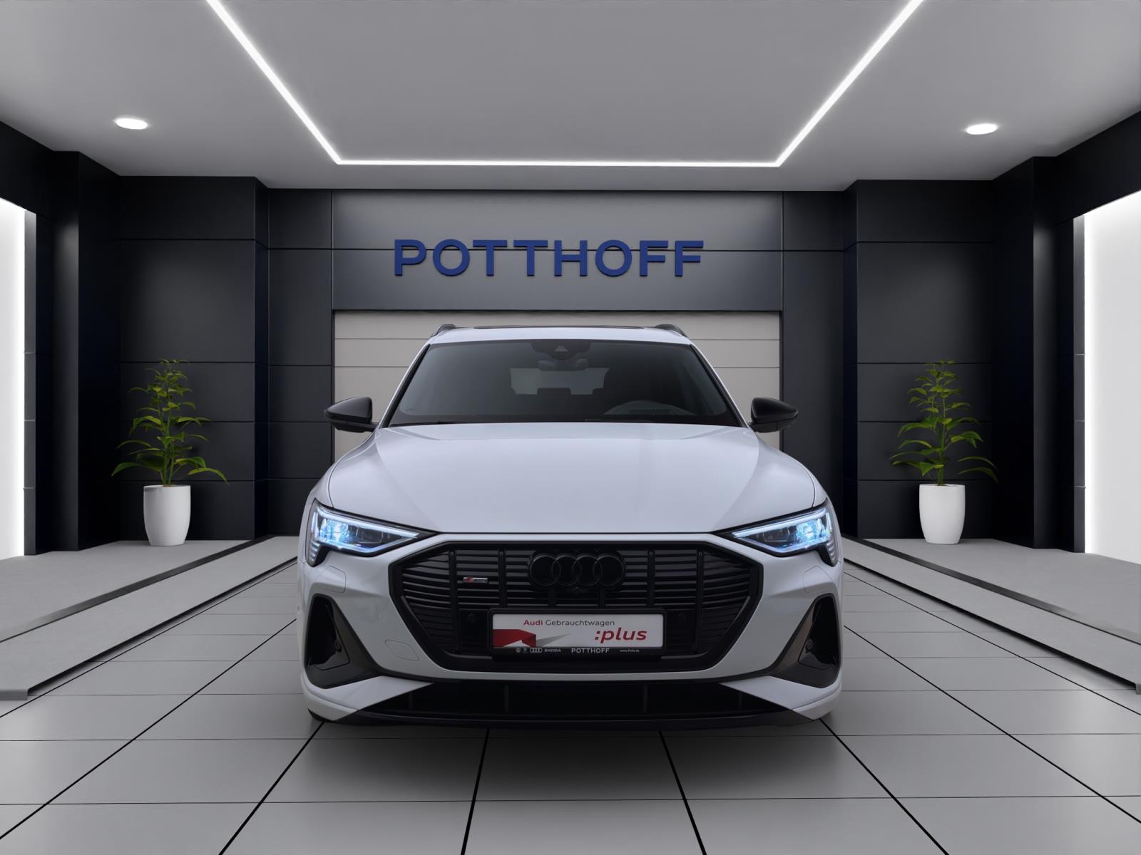 Bild 6: Audi e-tron 55 Q S LINE PANO MATRIX NAVI+ LM21 PDC