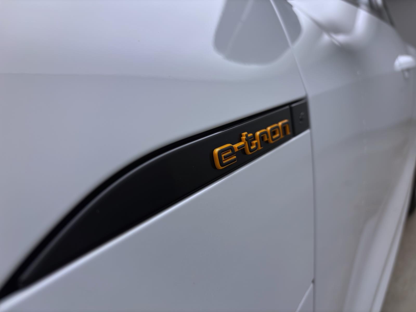 Bild 19: Audi e-tron 55 Q S LINE PANO MATRIX NAVI+ LM21 PDC