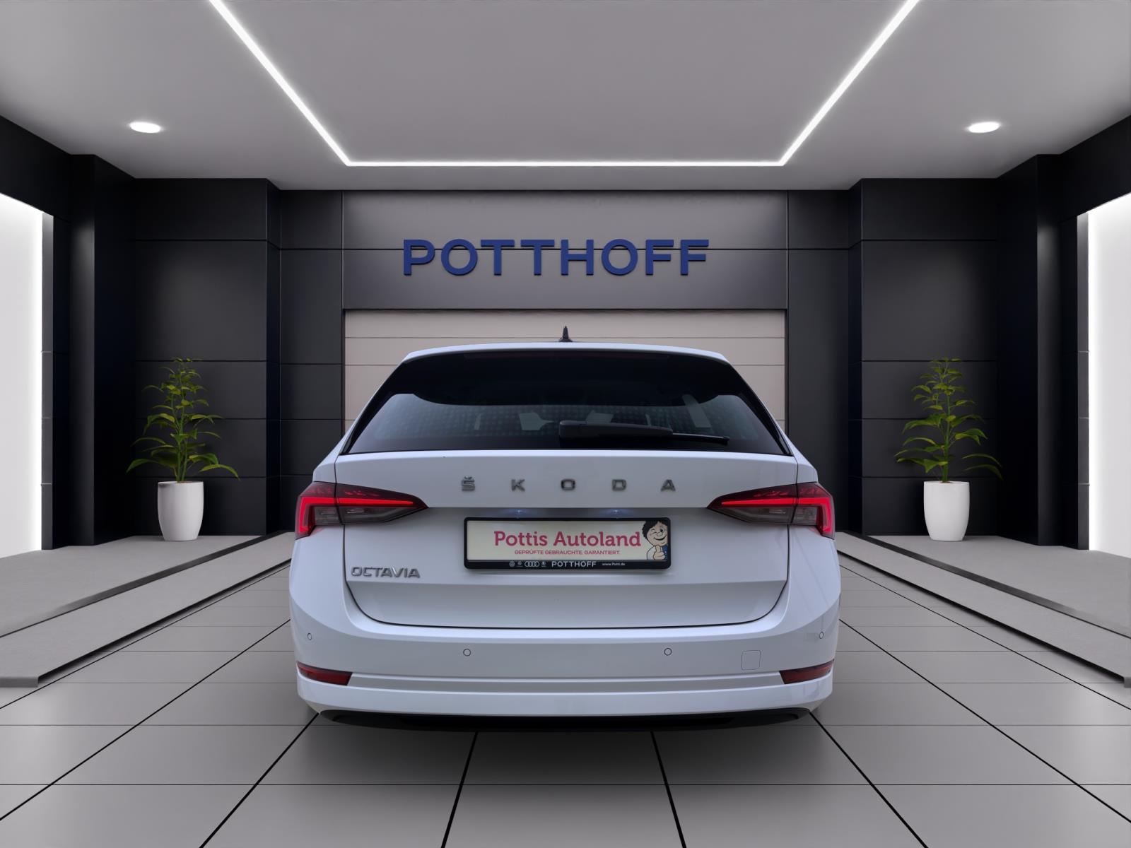 Bild 2: Skoda Octavia Combi 2.0 TDI DSG STYLE NAVI PDC SITZHZG LED