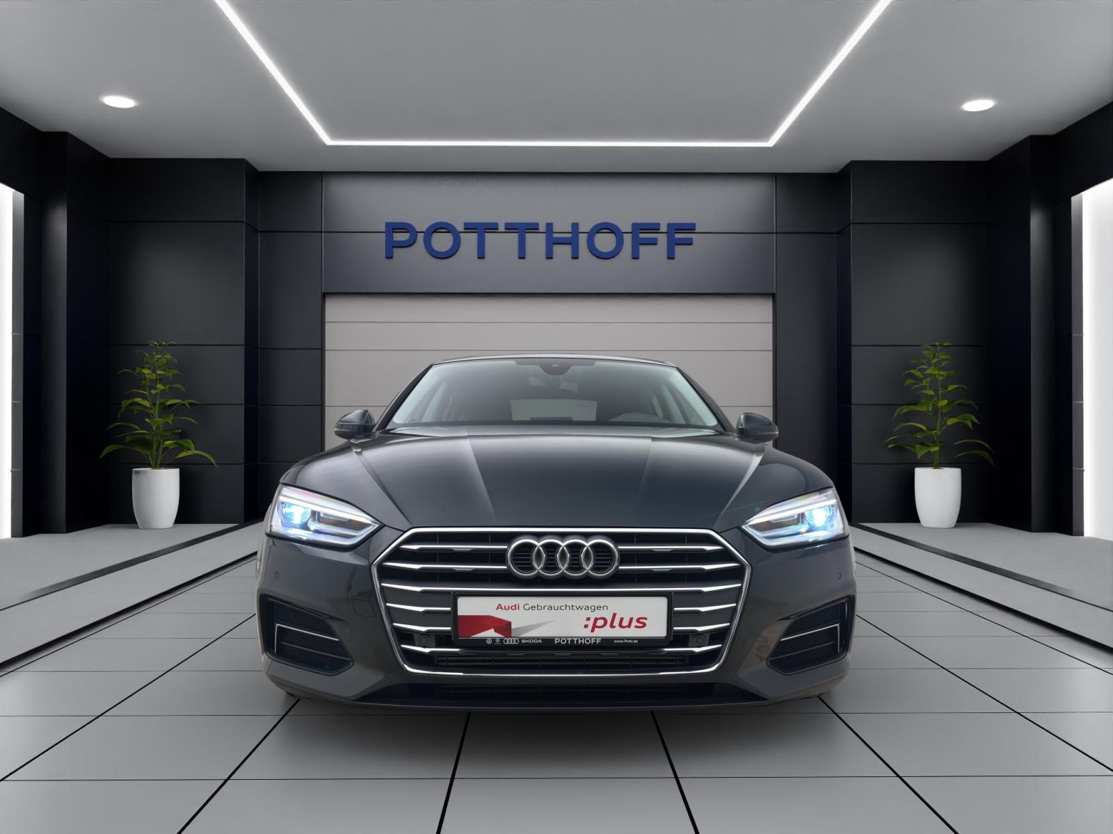 Bild 5: Audi A5 Sportback g-tron SPORT NAVI PDC SITZHZG XENON
