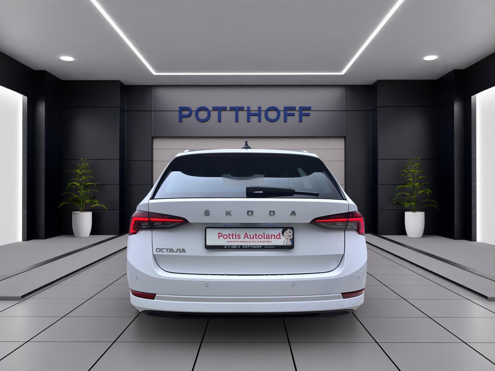 Bild 2: Skoda Octavia Combi 2.0 TDI DSG STYLE NAVI SITZHZG PDC ACC