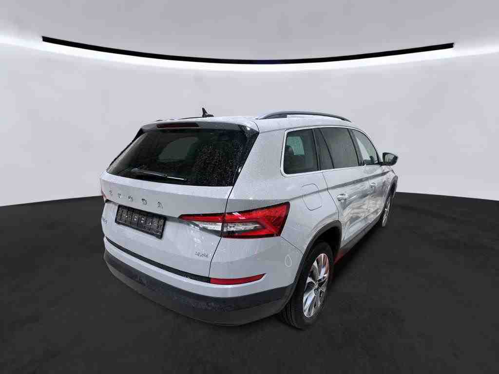 Bild 1: Skoda Kodiaq 2.0 TDI DSG 4x4 CLEVER PANO AHK KAMERA PDC