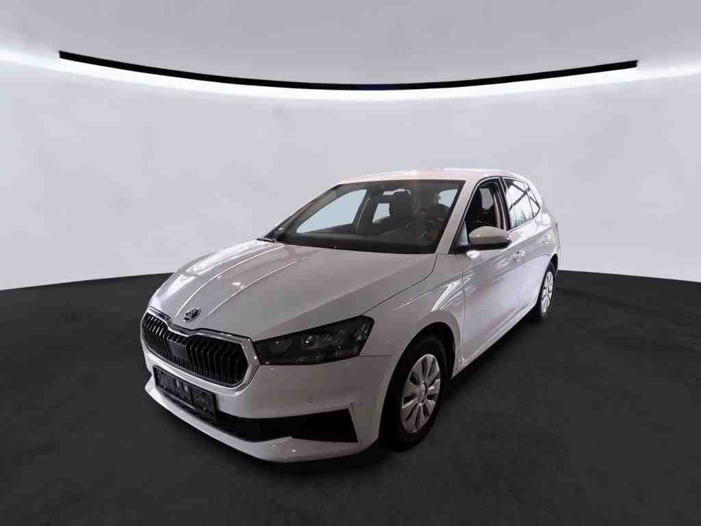 Skoda Fabia 1.0 TSI DSG AMBITION NAVI SITZHZG PDC LED 8701598