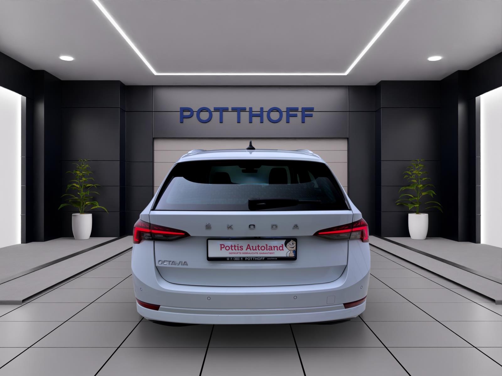 Bild 2: Skoda Octavia Combi 1.5 TSI FIRST EDITION PANO MATRIX NAVI KAMERA