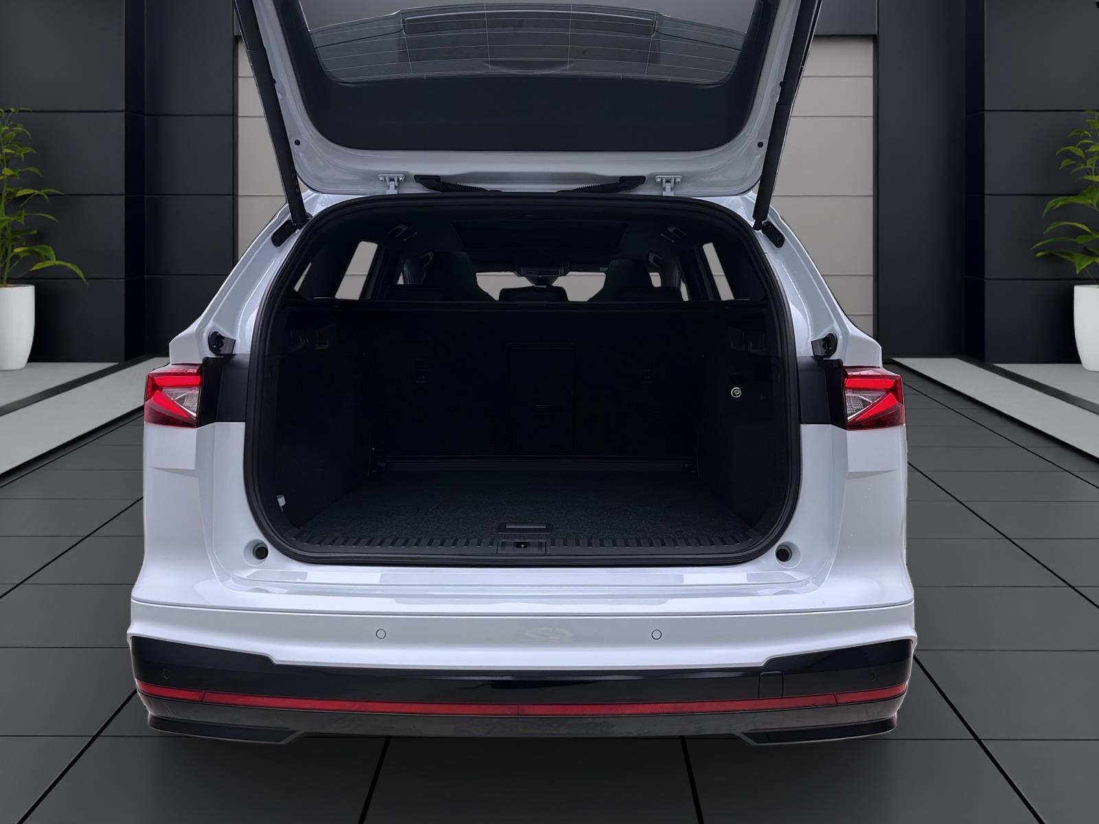 Skoda ENYAQ iV RS 4X4 MAXX AHK PANO 20 NAV CANTON MATRIX