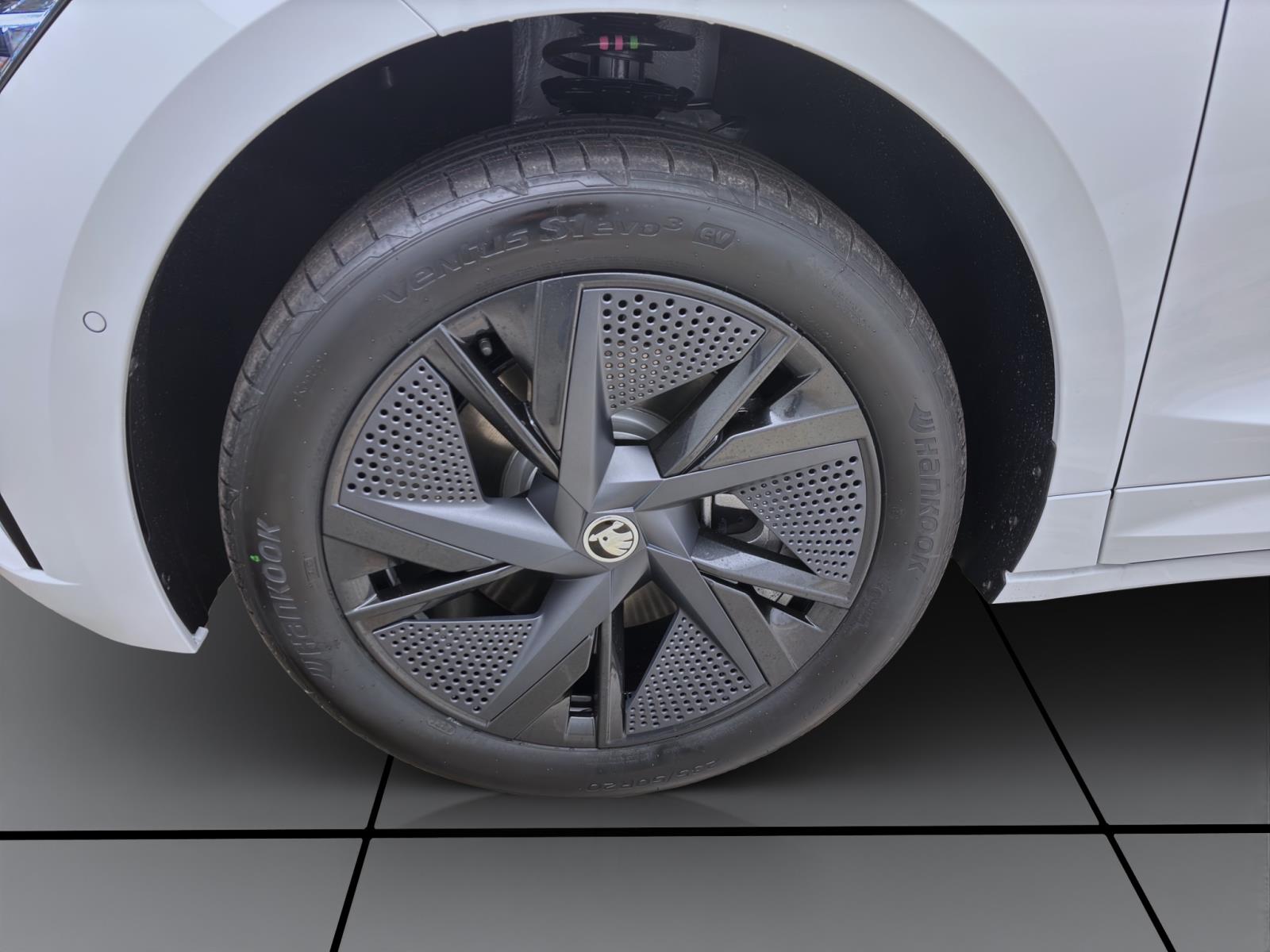 Skoda ENYAQ iV RS 4X4 MAXX AHK PANO 20 NAV CANTON MATRIX