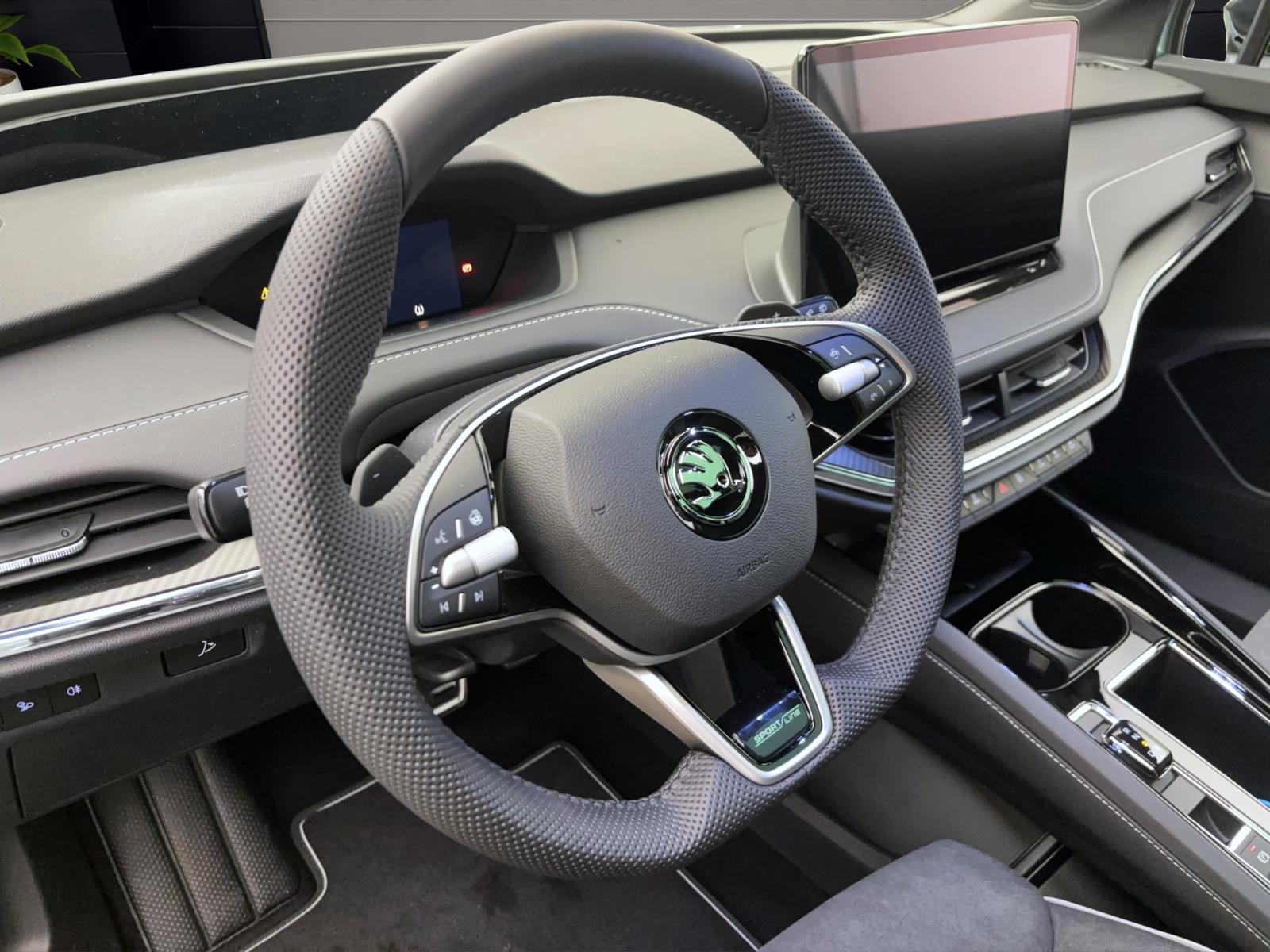Skoda ENYAQ iV 85X SPORTLINE 4X4 AHK PANO 21 HEAD-UP CANTON WÄREMEP.