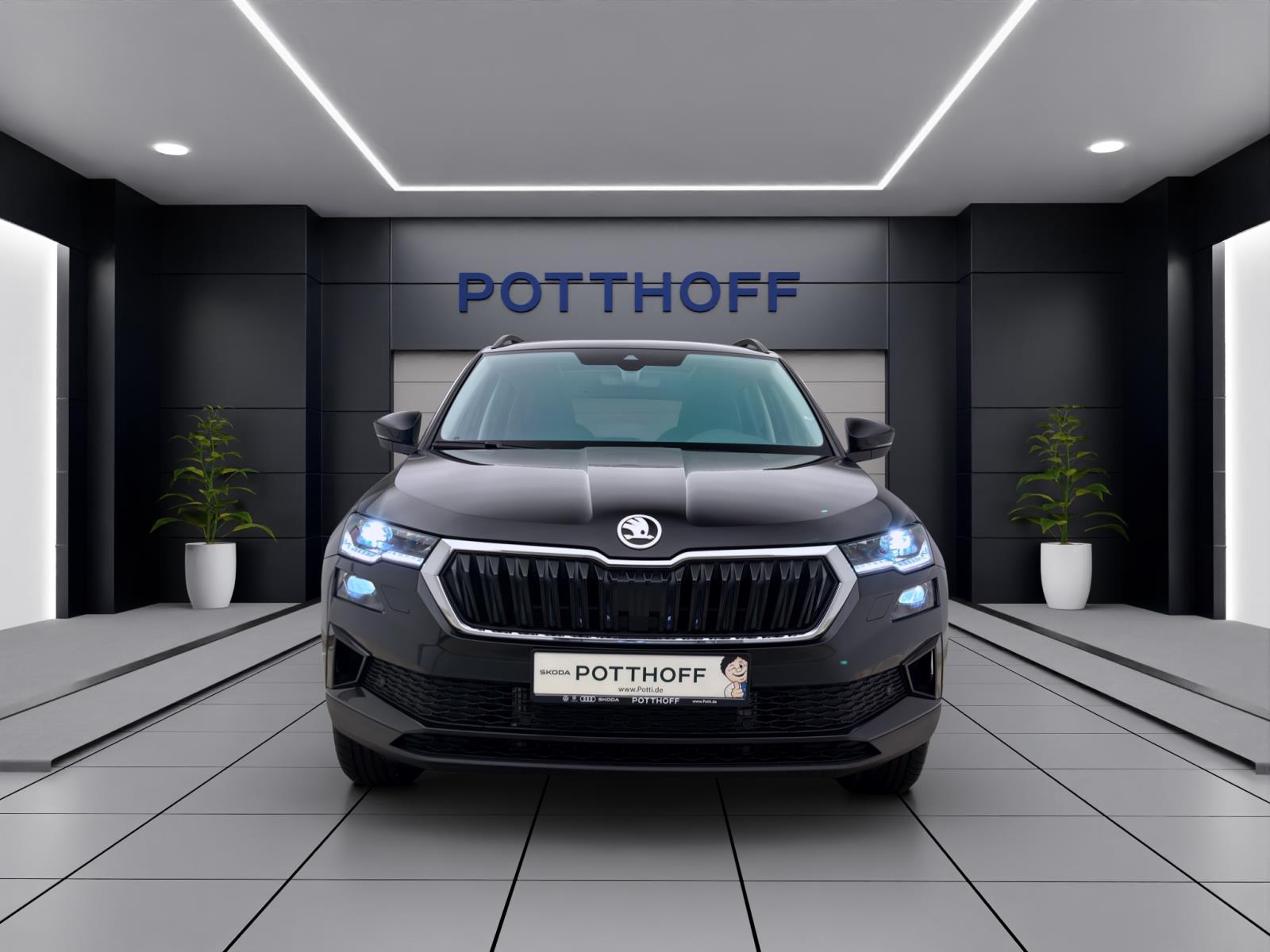 Skoda Karoq TOUR DSG AHK PANO VARIOF. 18 ASSISTENZ&WINTER+