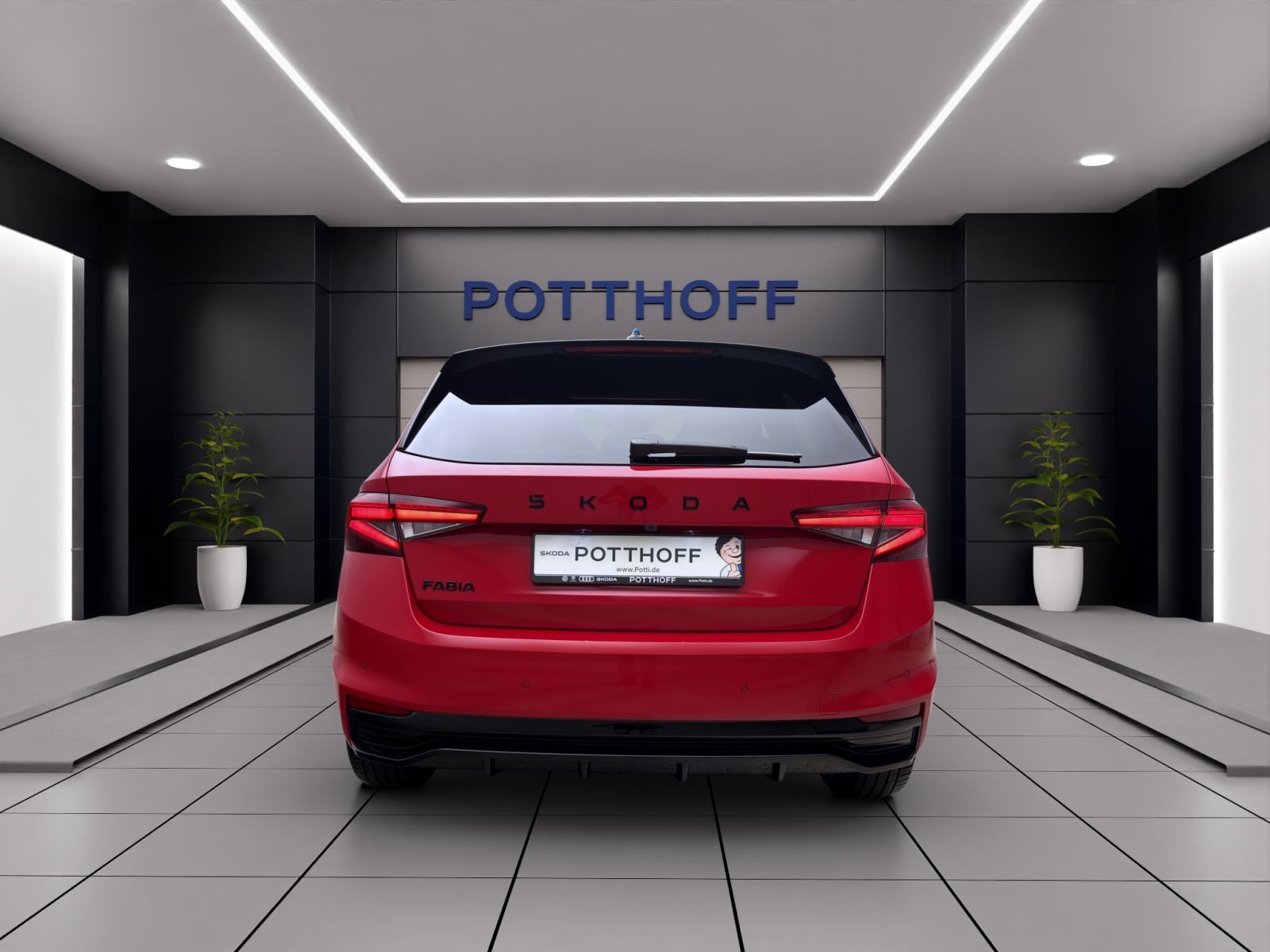 Skoda Fabia MONTE CARLO DSG 17 KAM PDC WINTER+ LICHT&SICHT