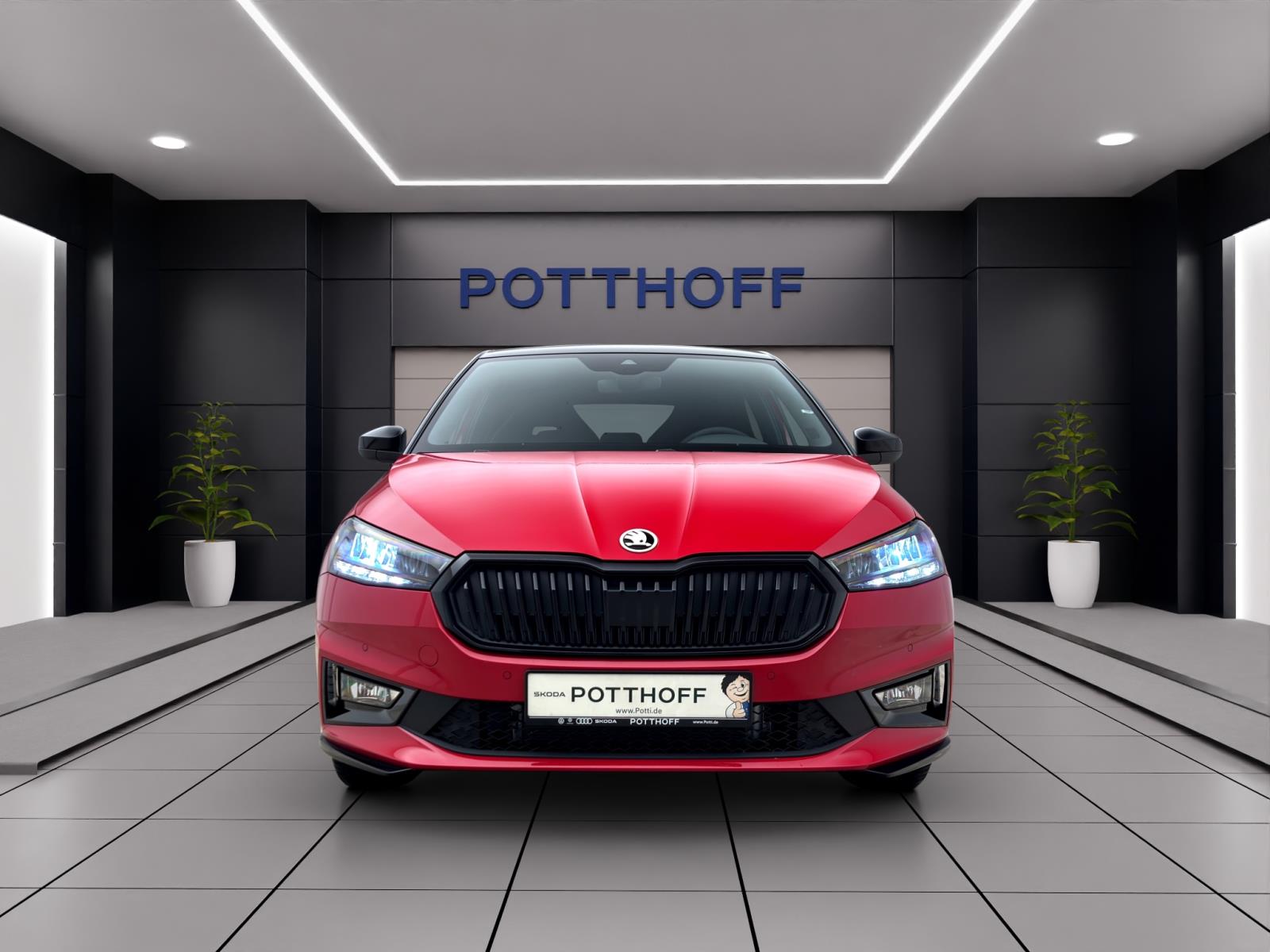 Skoda Fabia MONTE CARLO DSG 17 KAM PDC WINTER+ LICHT&SICHT