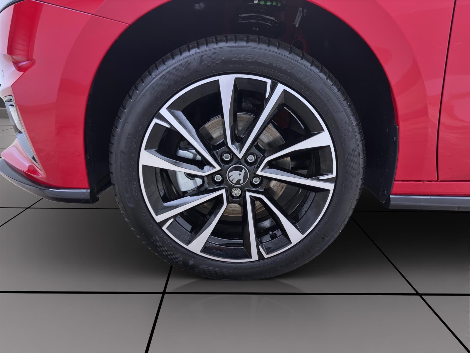 Skoda Fabia MONTE CARLO DSG 17 KAM PDC WINTER+ LICHT&SICHT