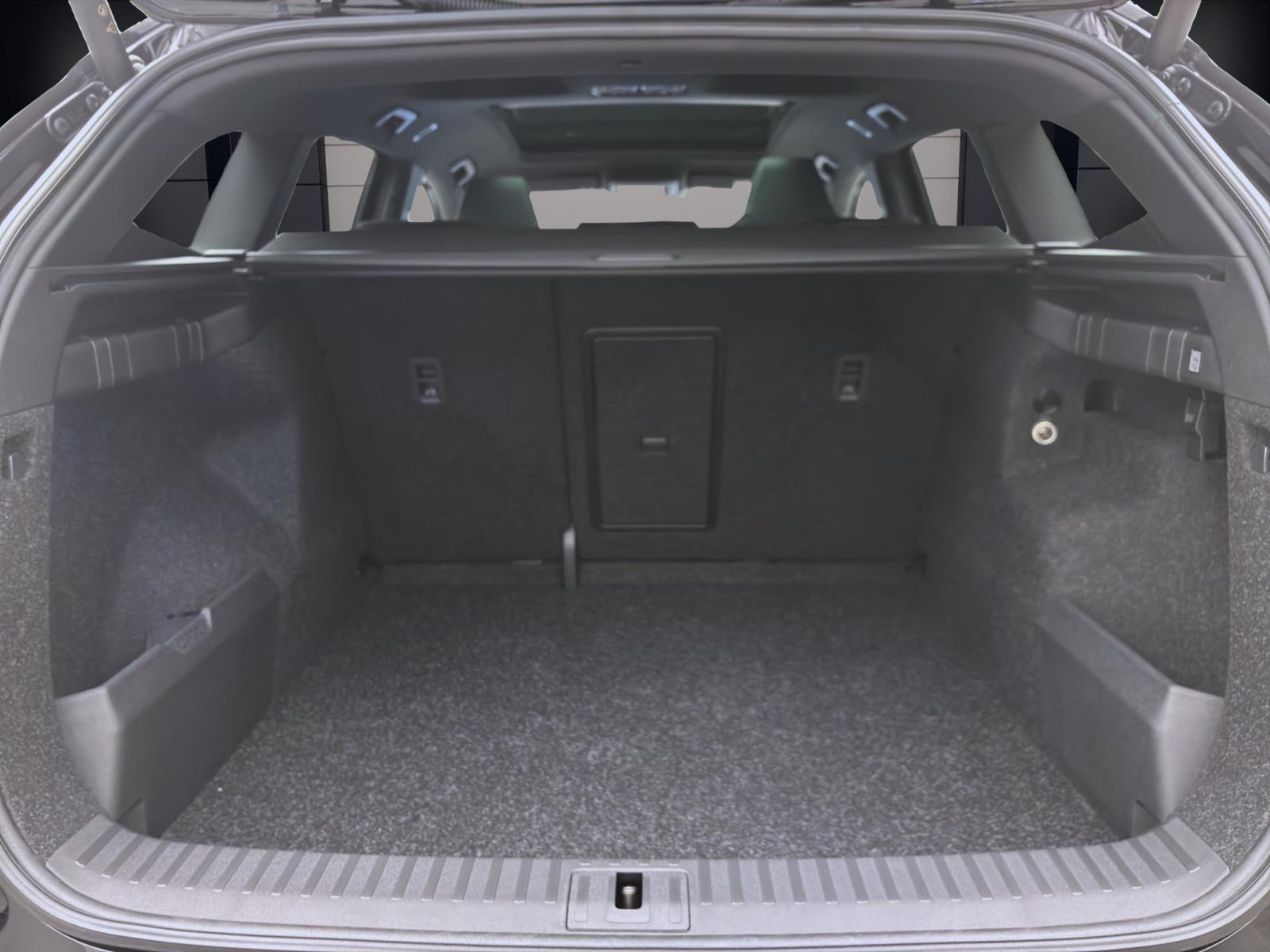 Bild 3: Skoda ENYAQ iV RS 4X4 MAXX PANO DCC pACC 360° CANTON WÄRMEP