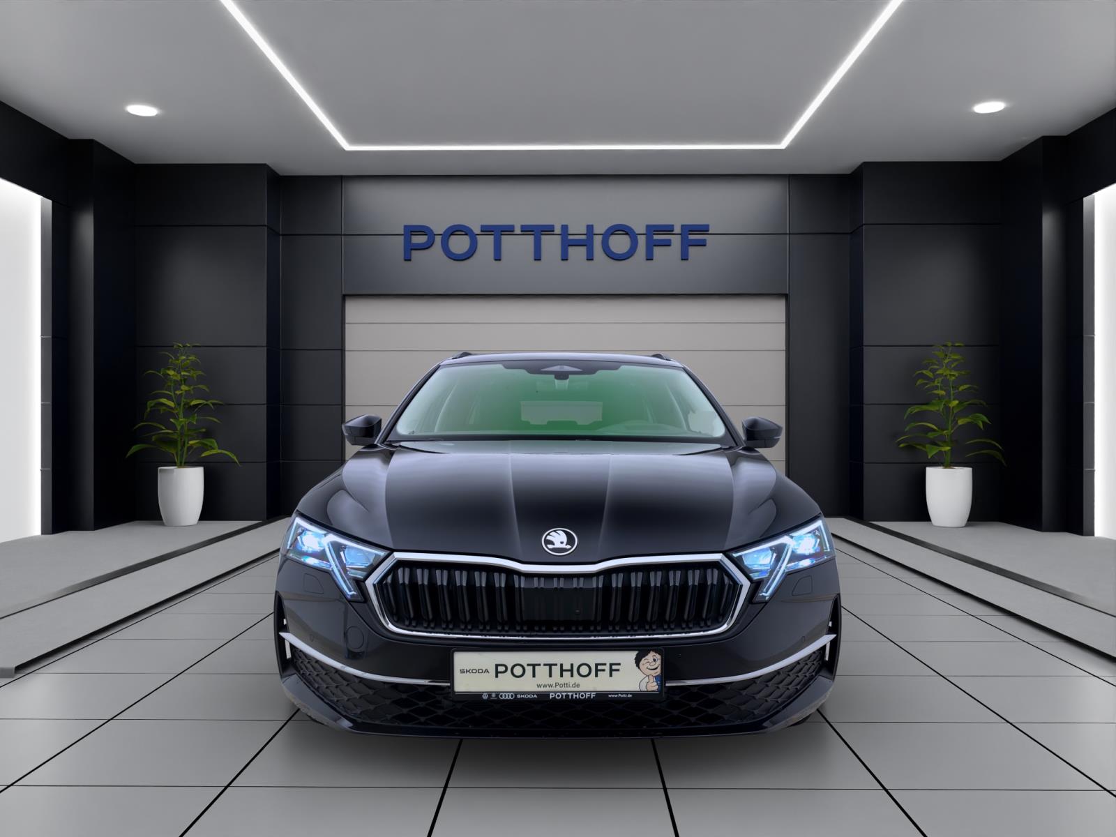 Bild 6: Skoda Octavia COMBI BALANCE AHK PANO STANDH LICHT&SICHT+ 18 360°